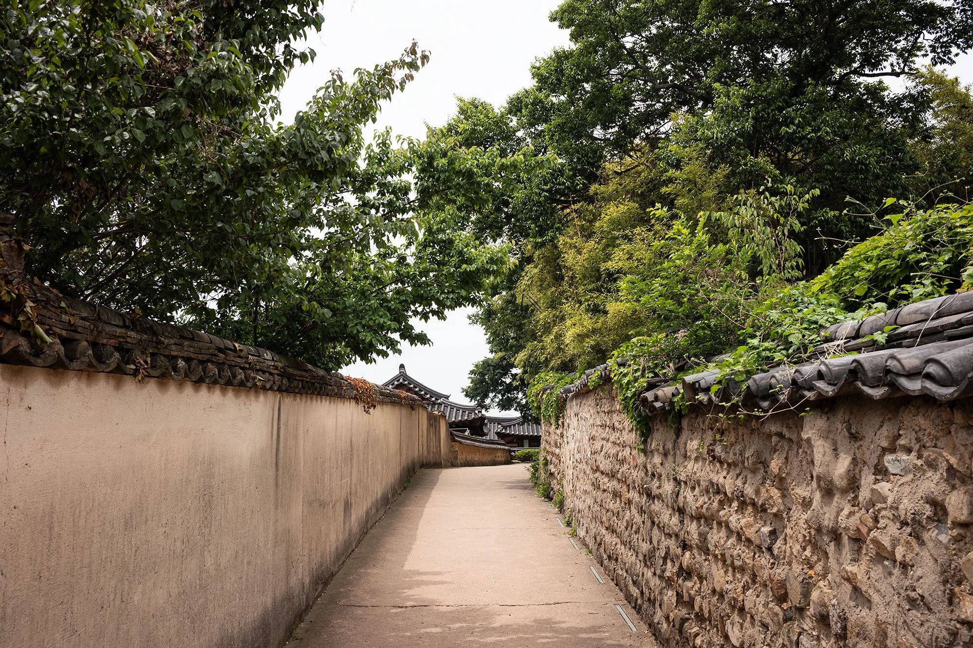 Gyeongju Gyochon Traditional Village, South Korea.