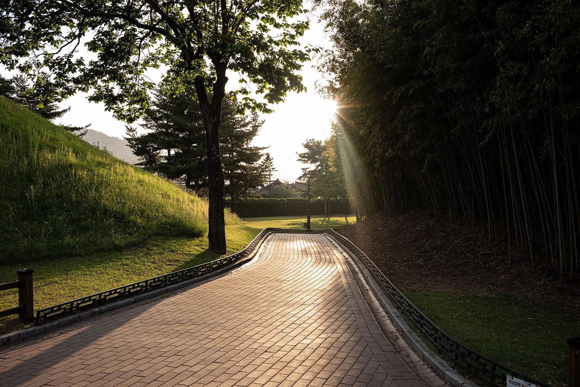 Daereungwon. Gyeongju, South Korea.