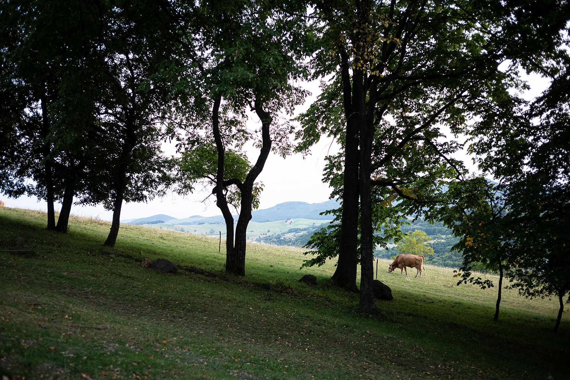 Calvary of Banská Štiavnica