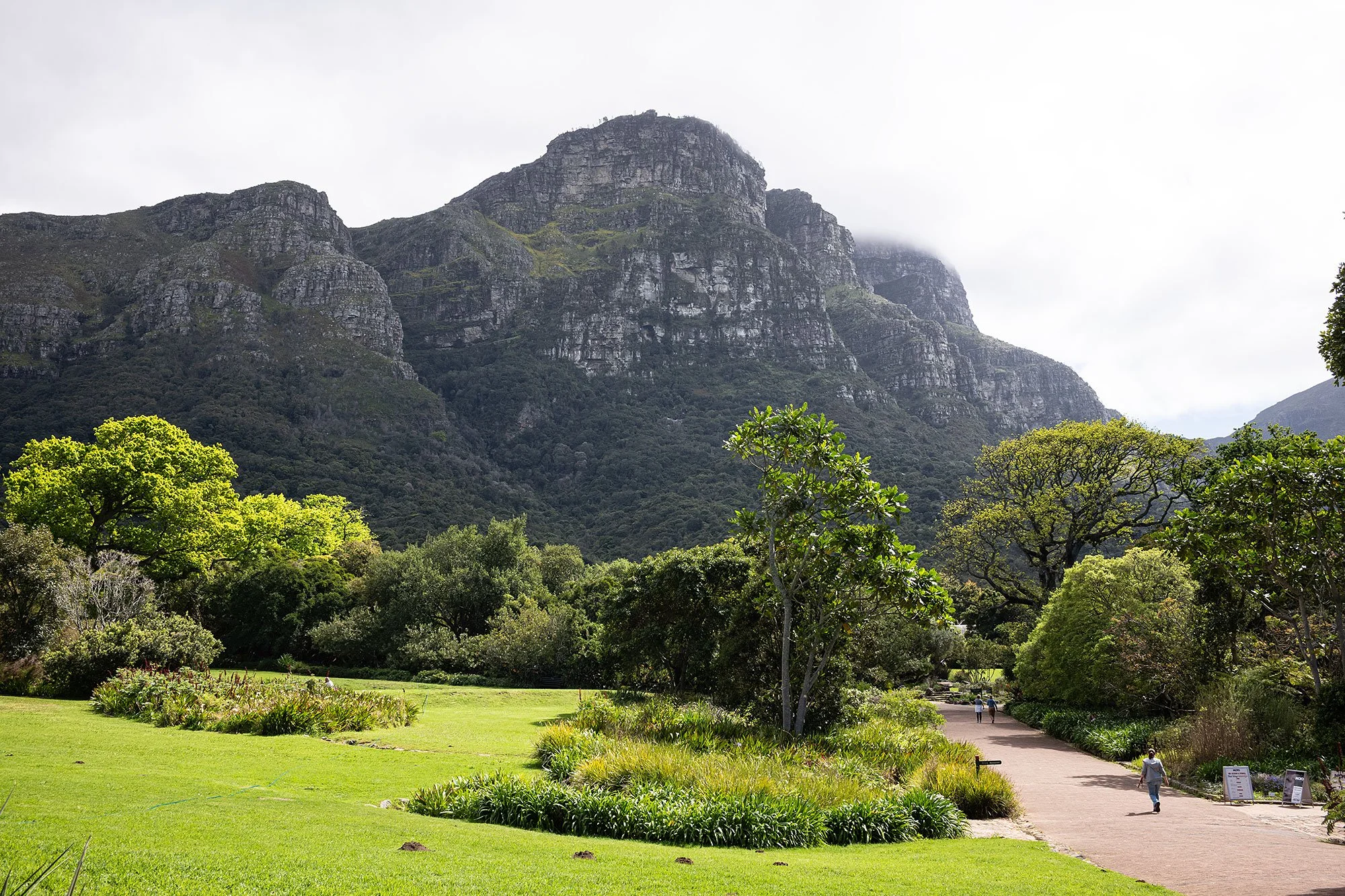 Kirstenbosch National Botanical Garden. Cape Town, South Africa.