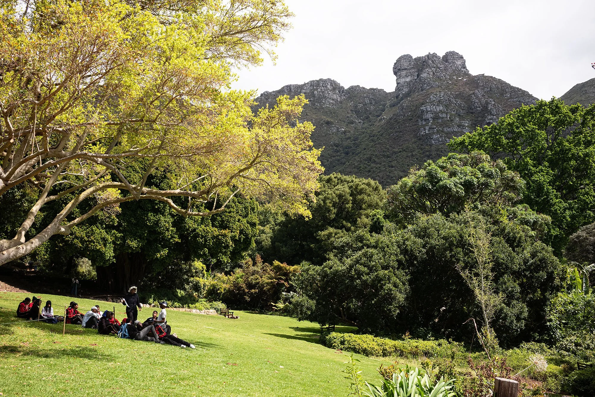 Kirstenbosch National Botanical Garden. Cape Town, South Africa.