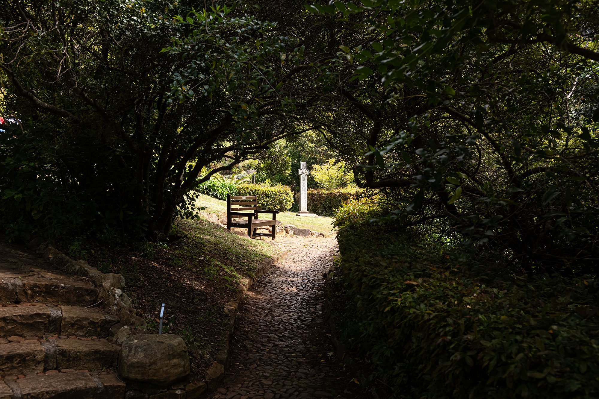 Kirstenbosch National Botanical Garden. Cape Town, South Africa.