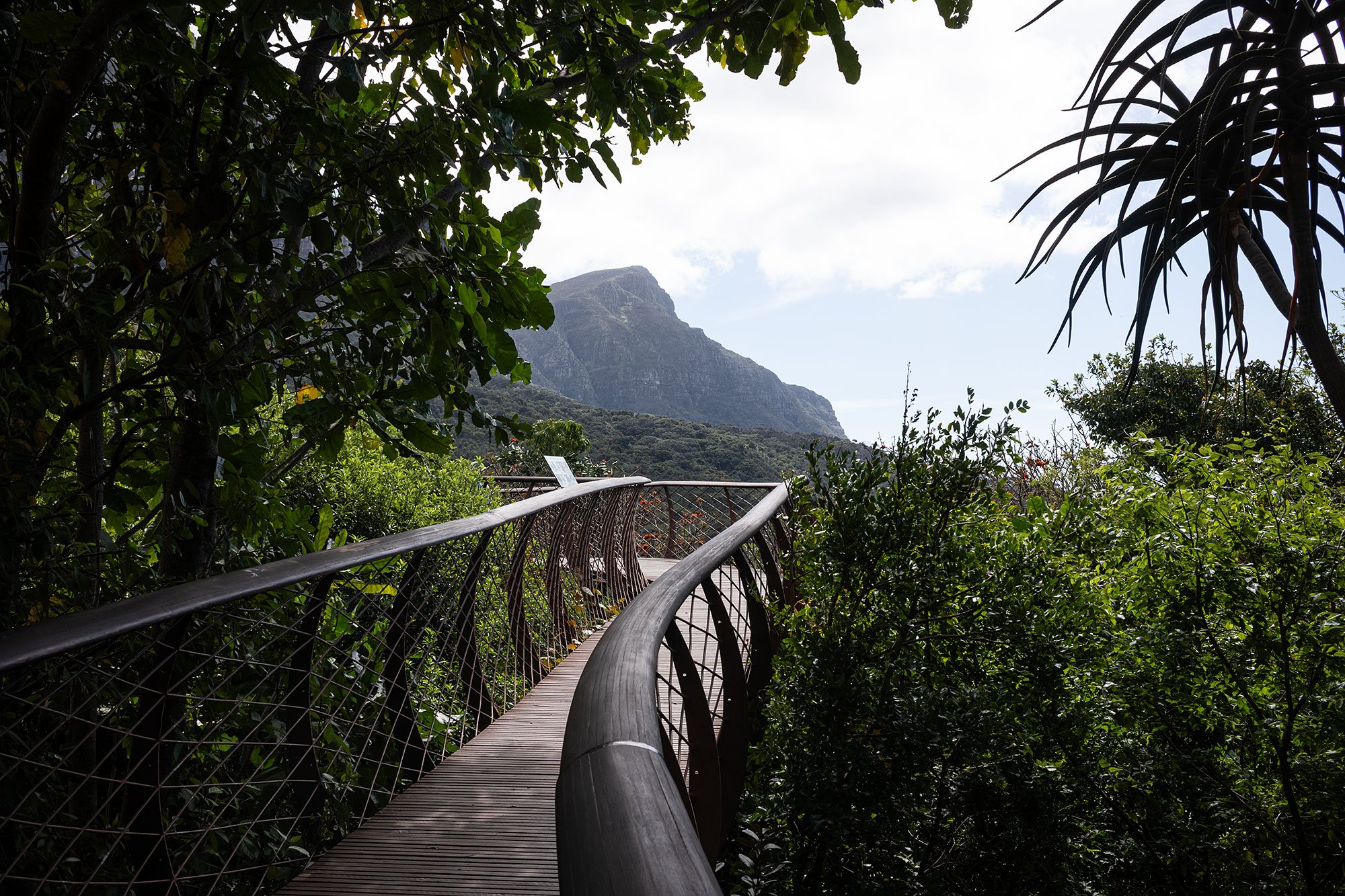 Kirstenbosch National Botanical Garden. Cape Town, South Africa.