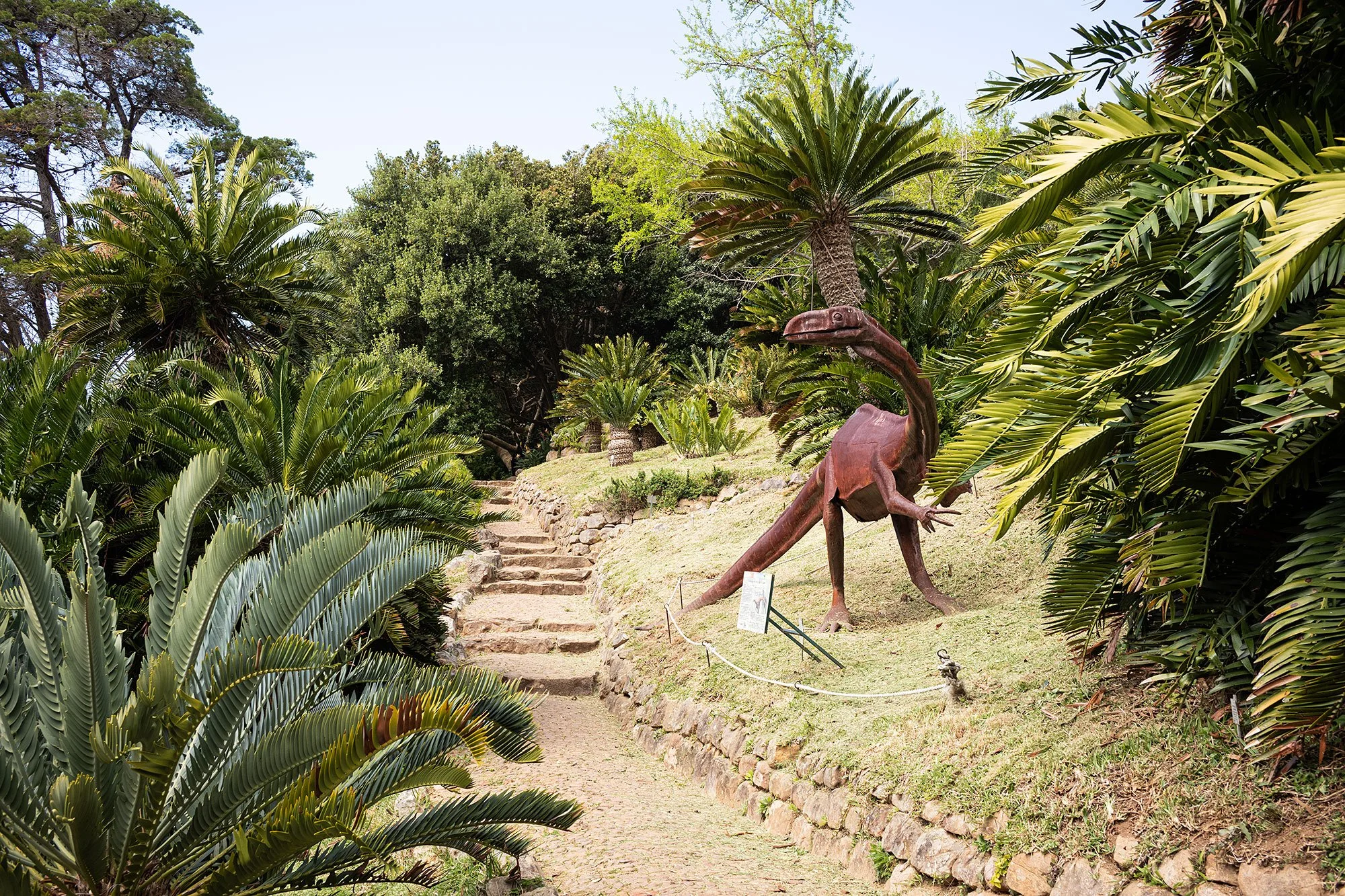 Kirstenbosch National Botanical Garden. Cape Town, South Africa.