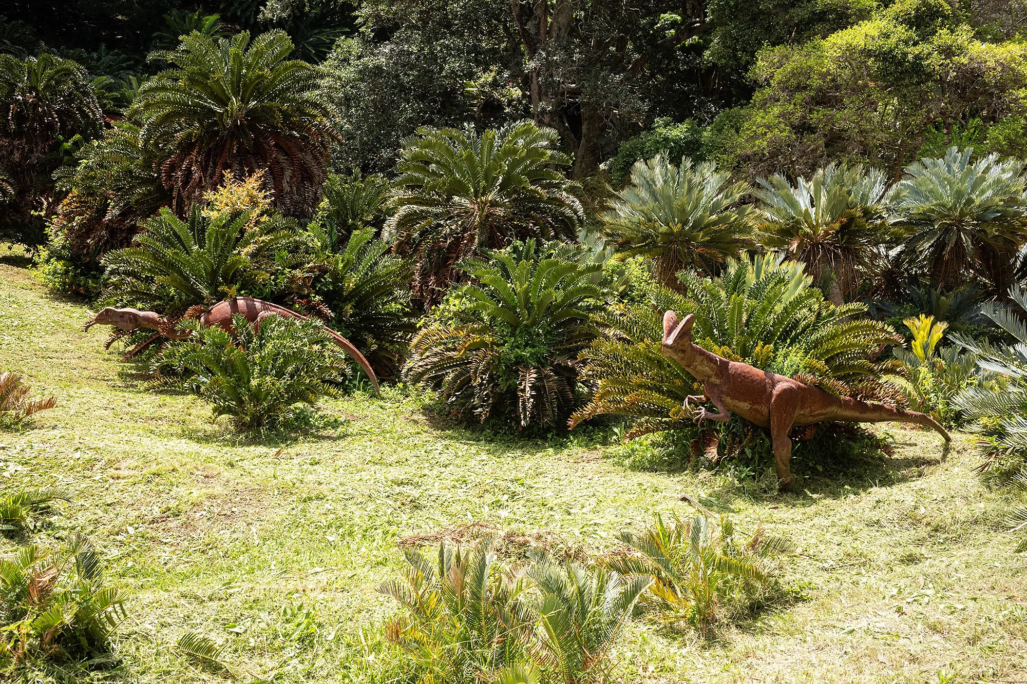 Kirstenbosch National Botanical Garden. Cape Town, South Africa.