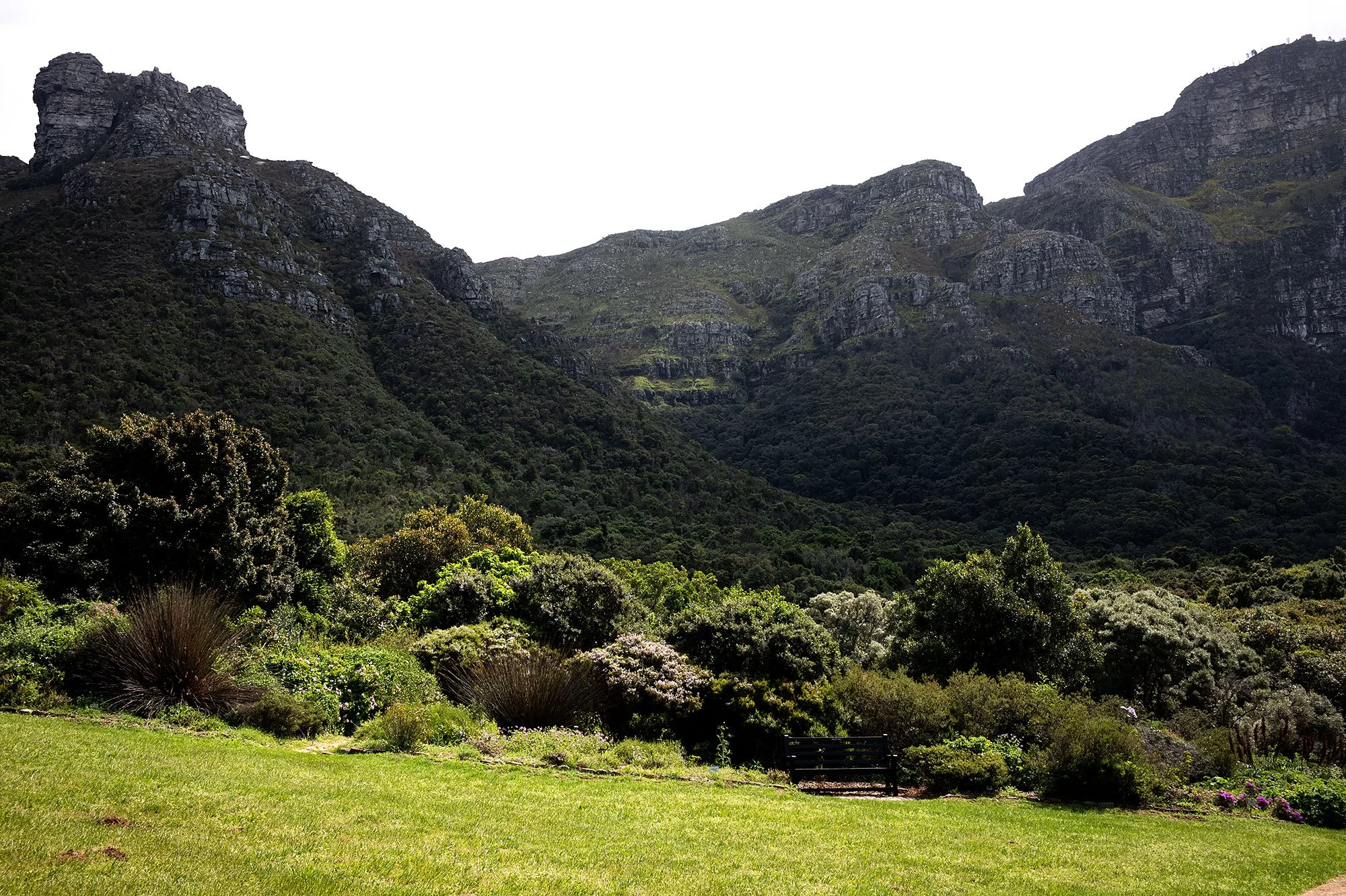 Kirstenbosch National Botanical Garden. Cape Town, South Africa.
