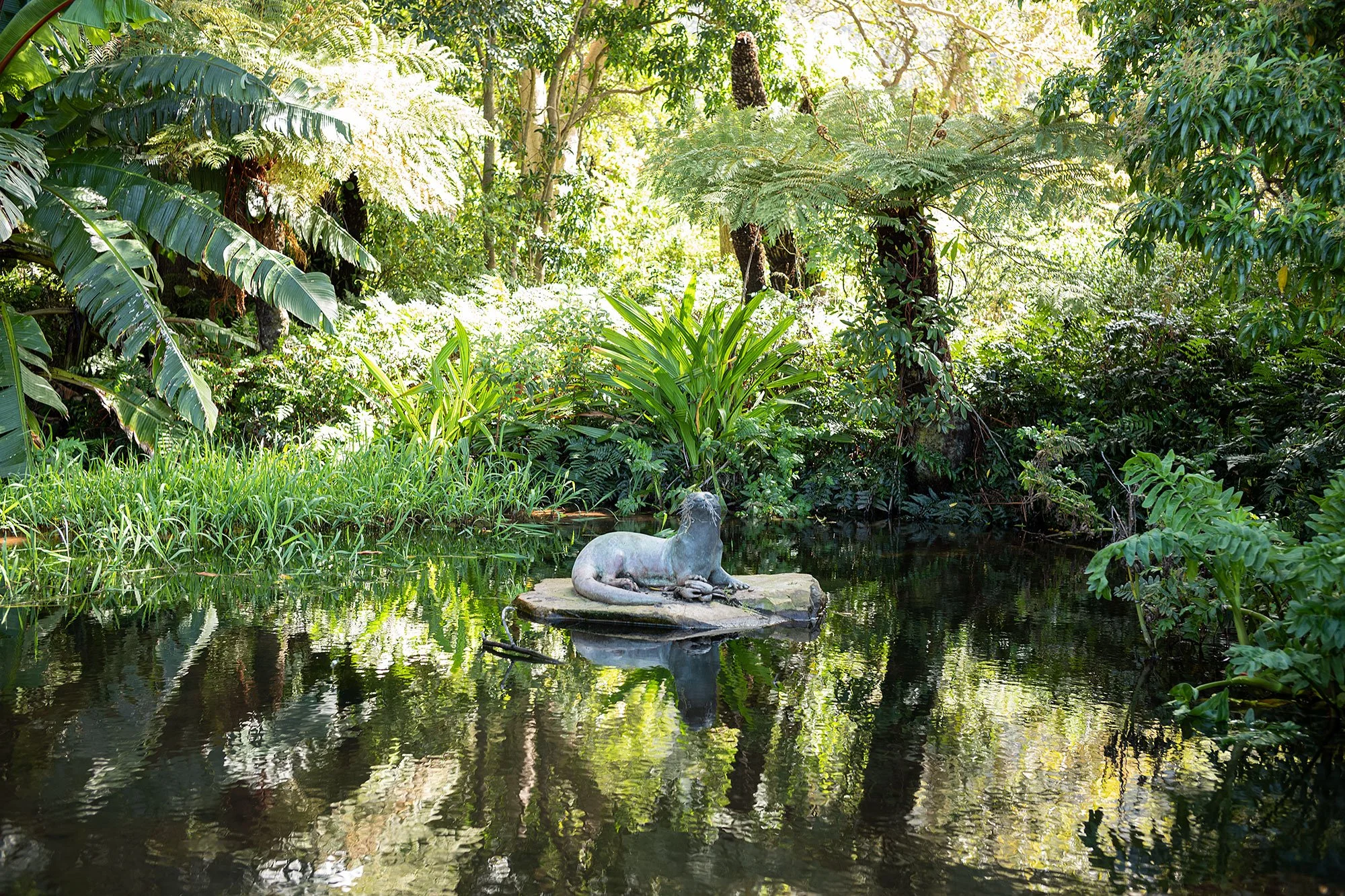 Kirstenbosch National Botanical Garden. Cape Town, South Africa.