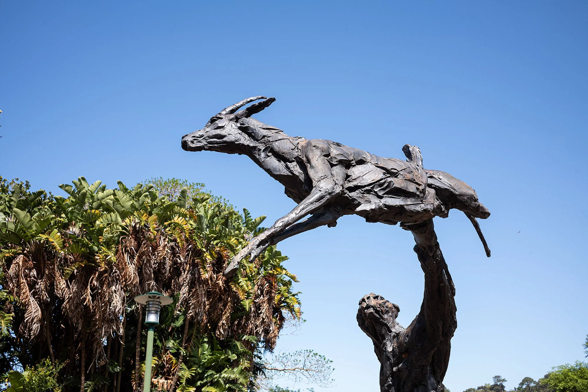 Kirstenbosch National Botanical Garden. Cape Town, South Africa.