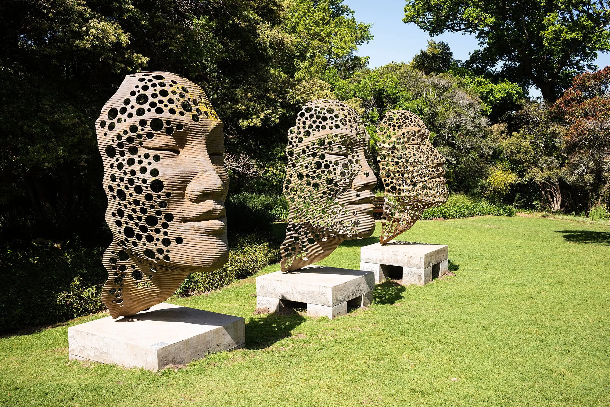 Kirstenbosch National Botanical Garden. Cape Town, South Africa.