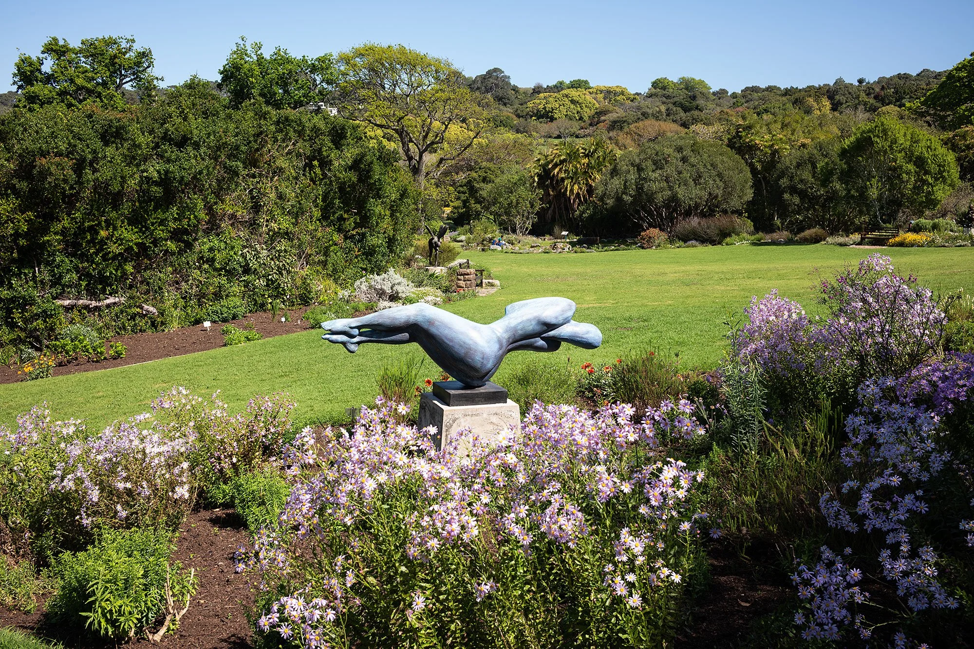 Kirstenbosch National Botanical Garden. Cape Town, South Africa.