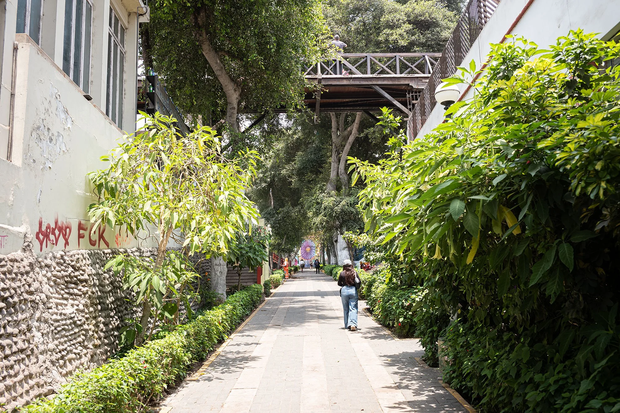2025-11-18-lima-L1004759.jpg
