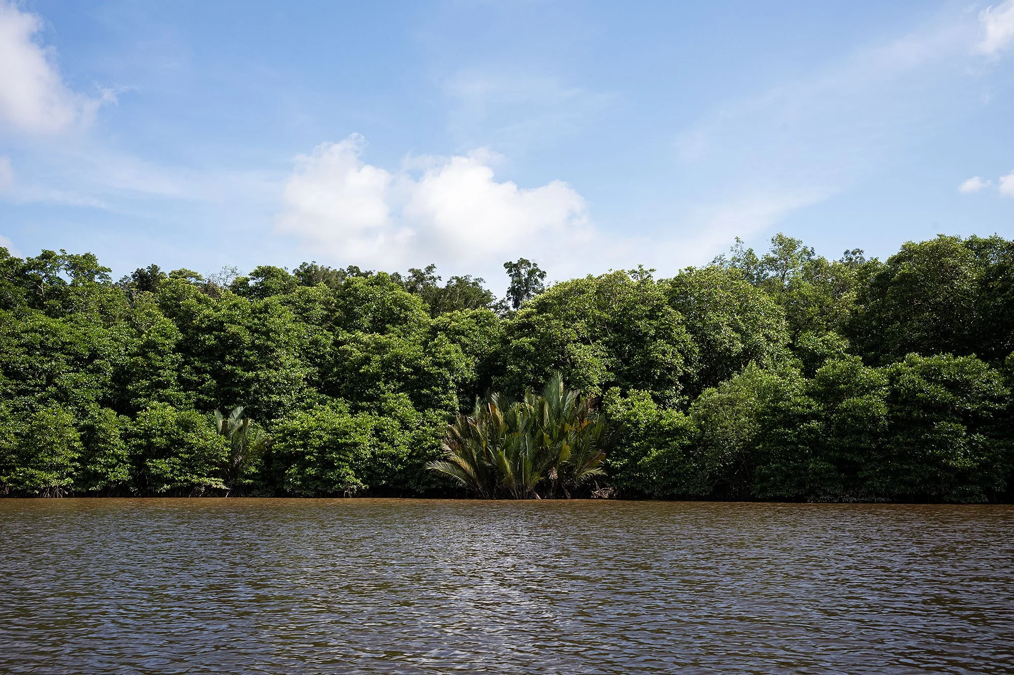 Along the Brunei River.
