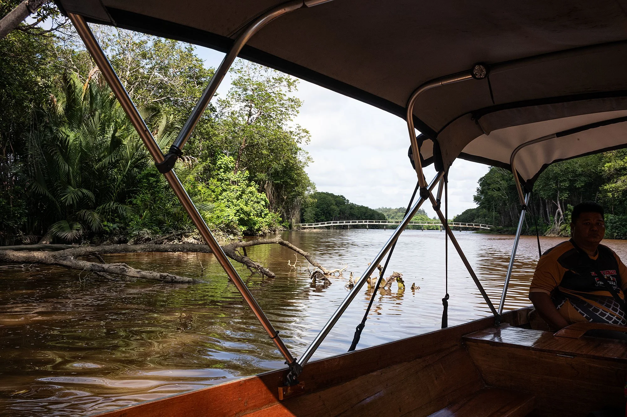 Along the Brunei River.
