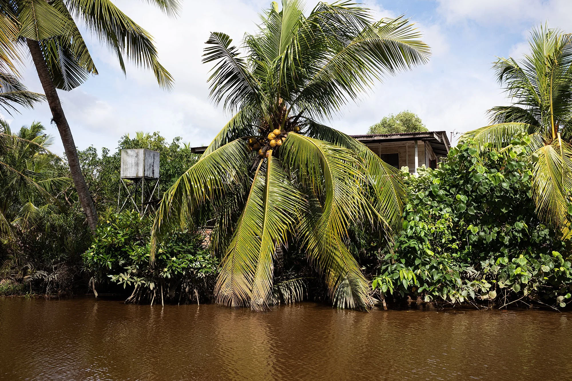 Along the Brunei River.