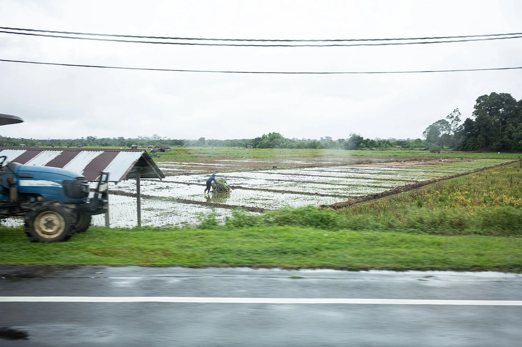On the road to  Ulu Temburong National Park, Brunei.