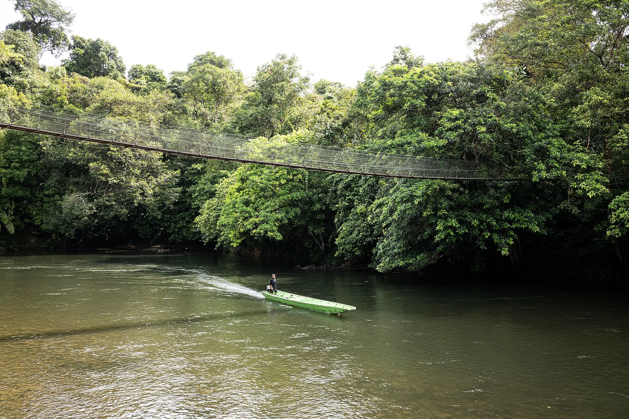 Ulu Temburong National Park, Brunei.