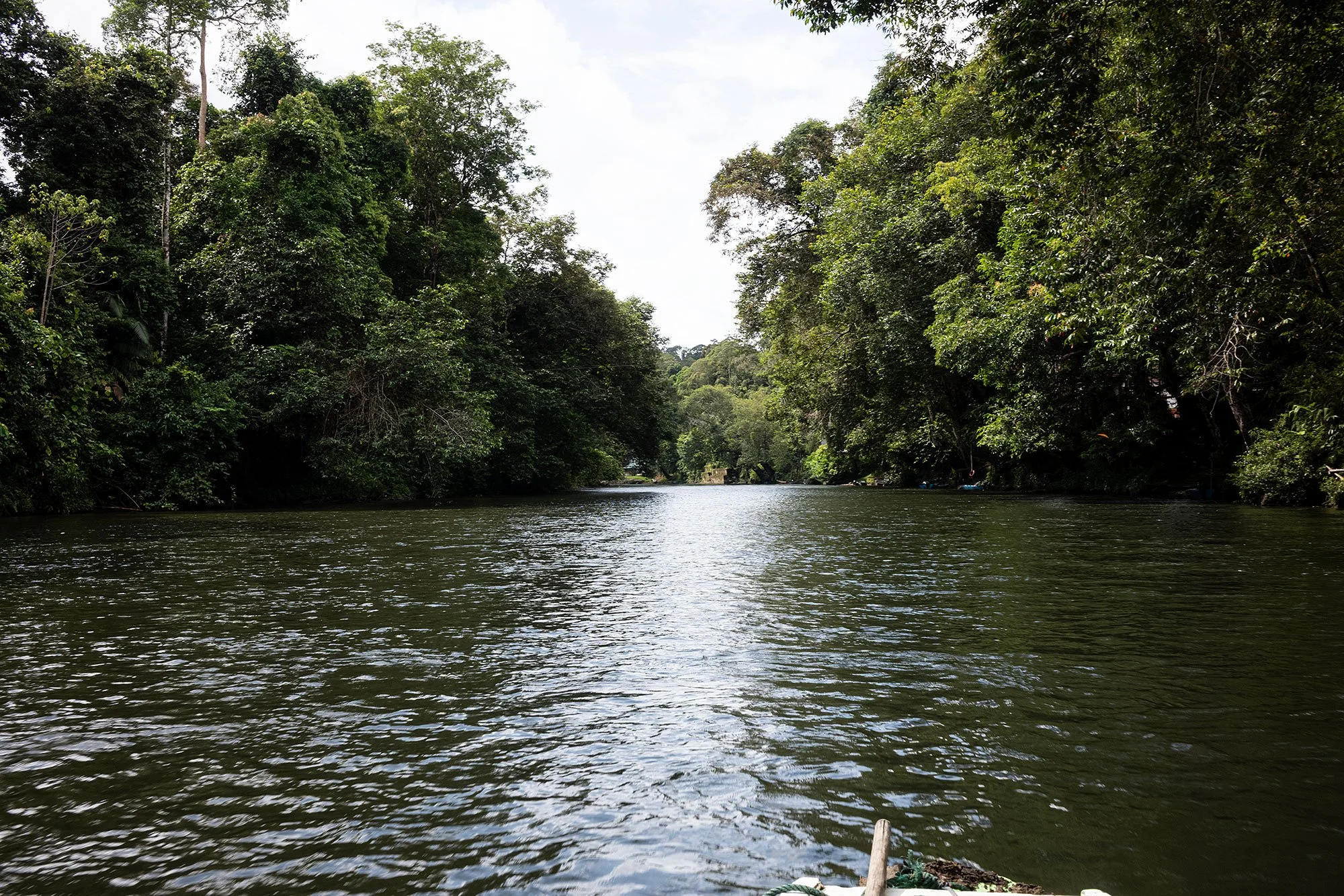 Ulu Temburong National Park, Brunei.