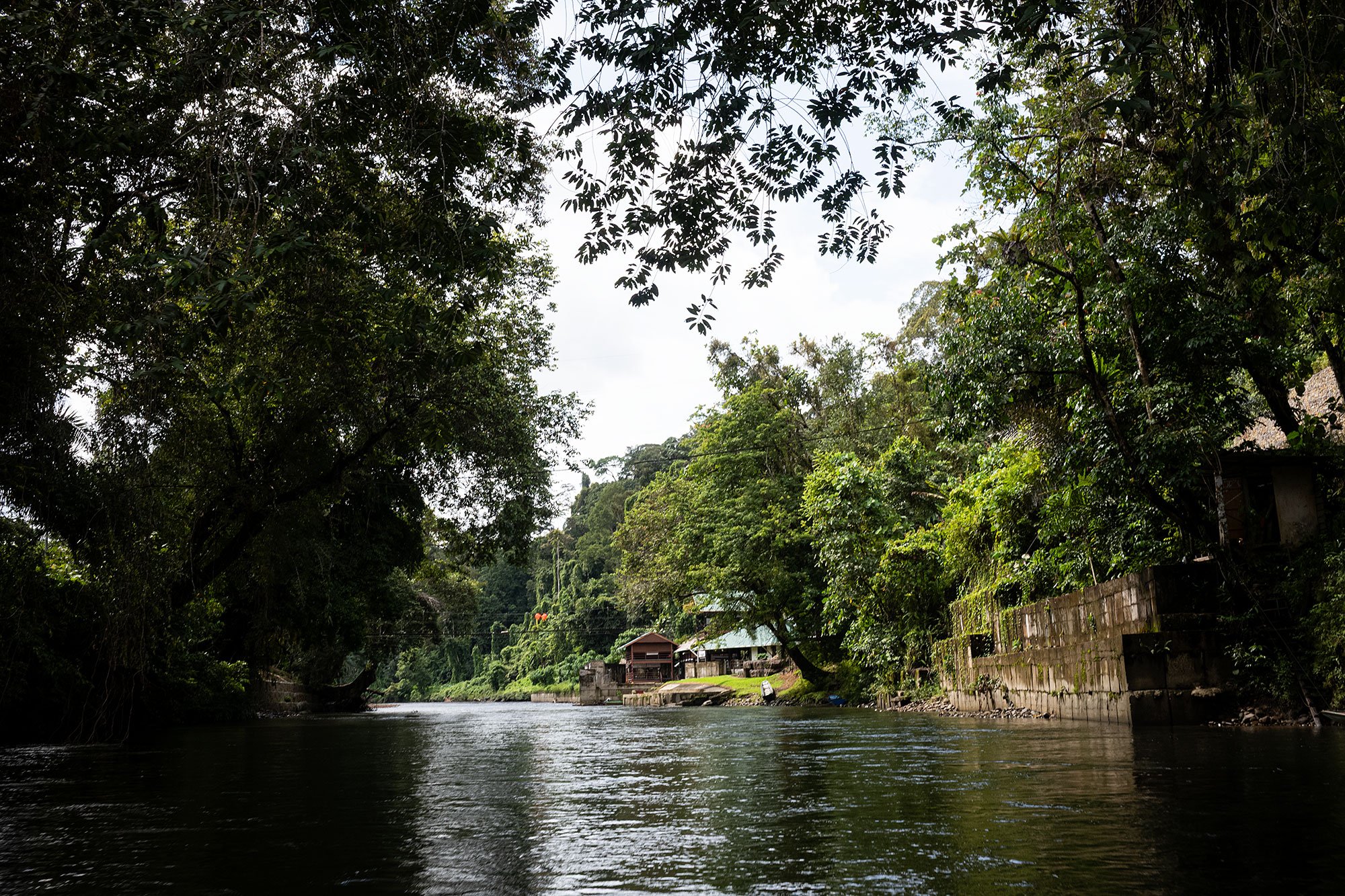 Ulu Temburong National Park, Brunei.