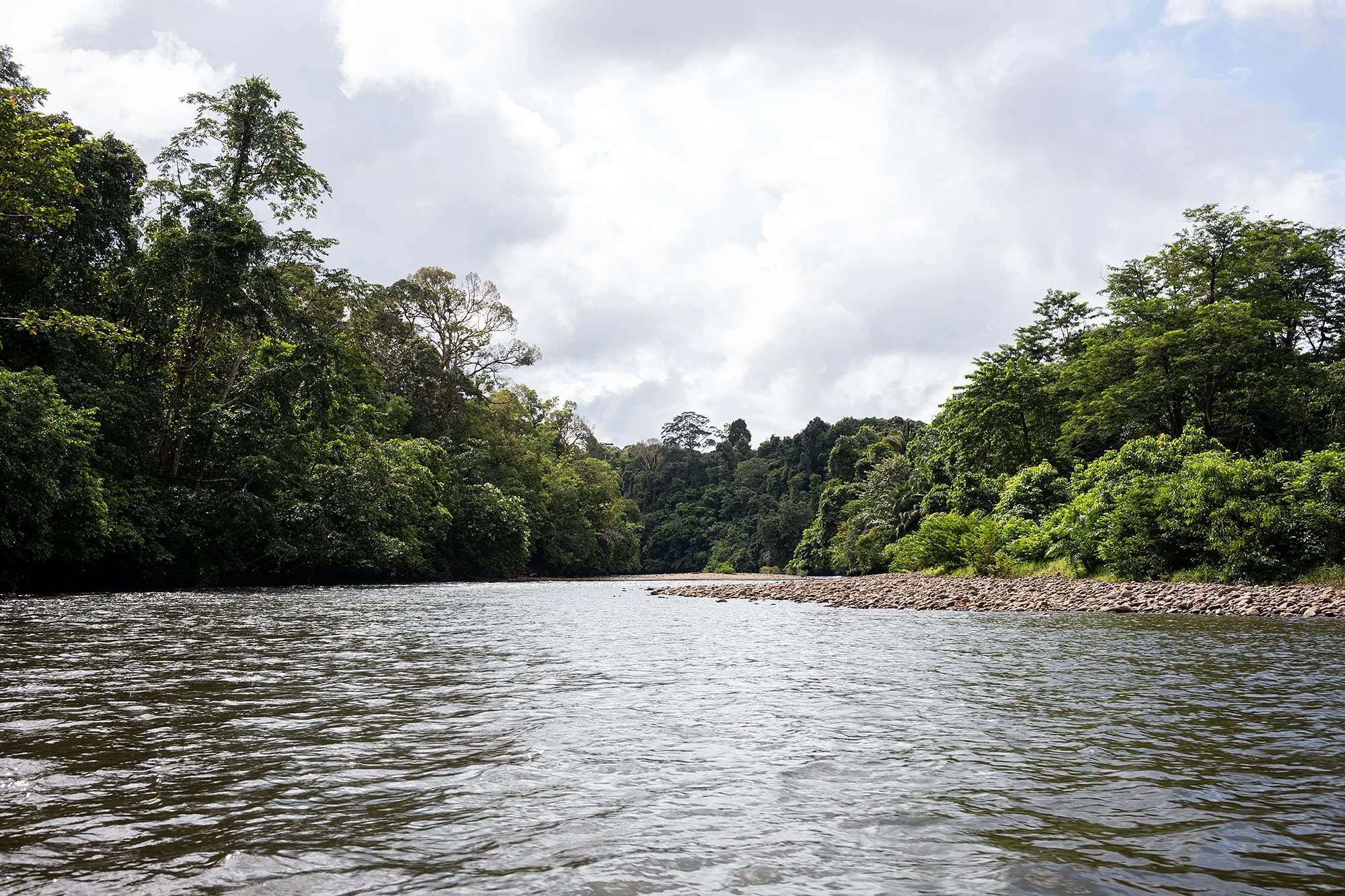 Ulu Temburong National Park, Brunei.