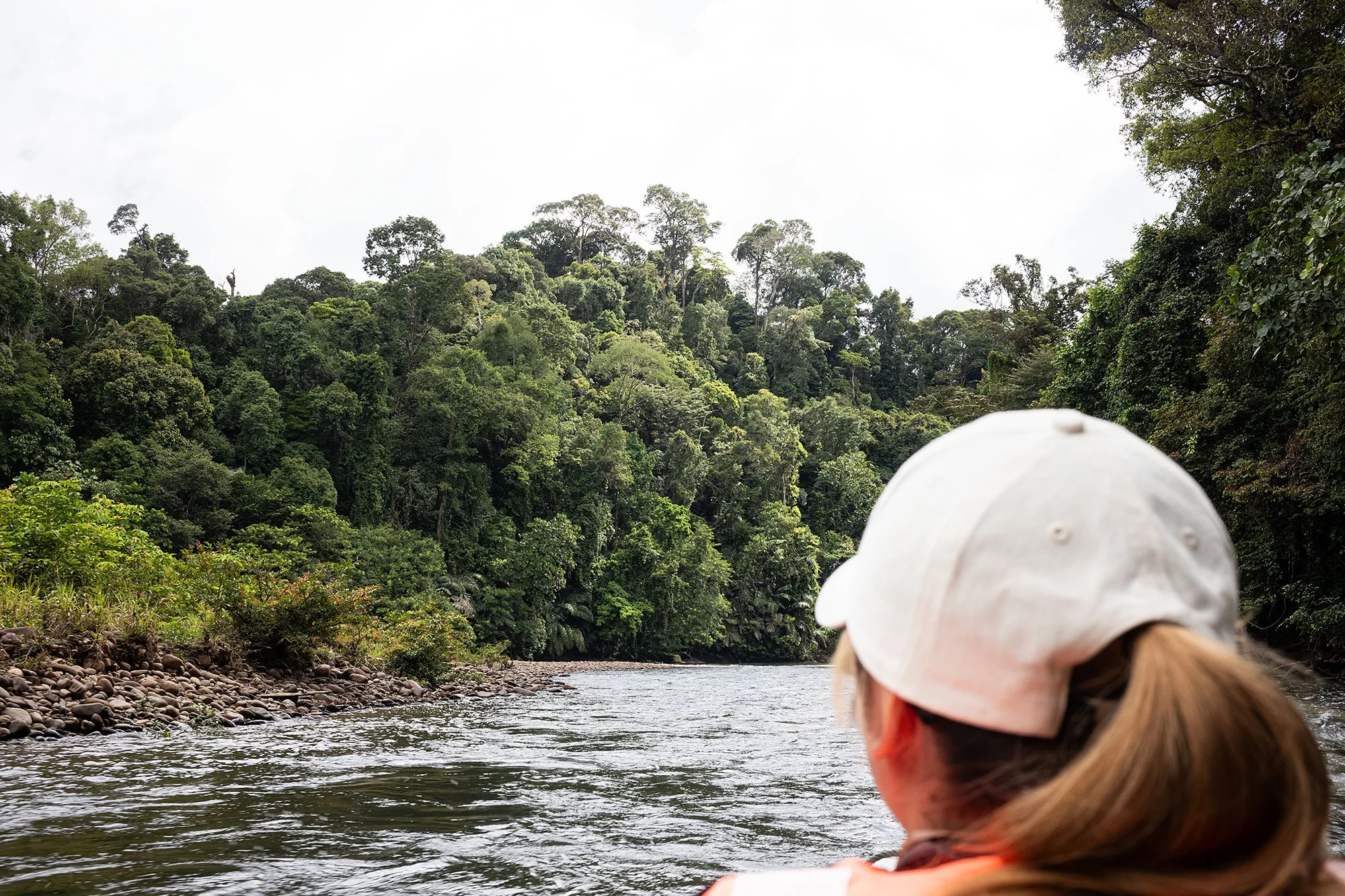 Ulu Temburong National Park, Brunei.