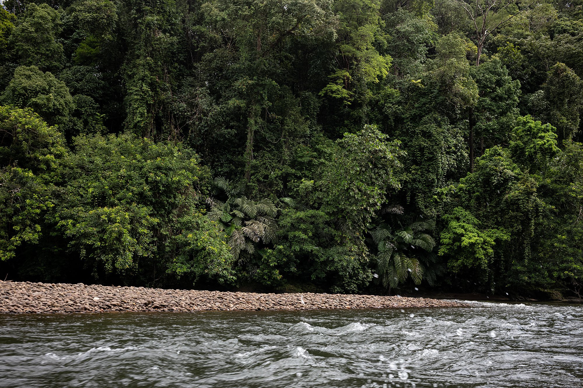 Ulu Temburong National Park, Brunei.