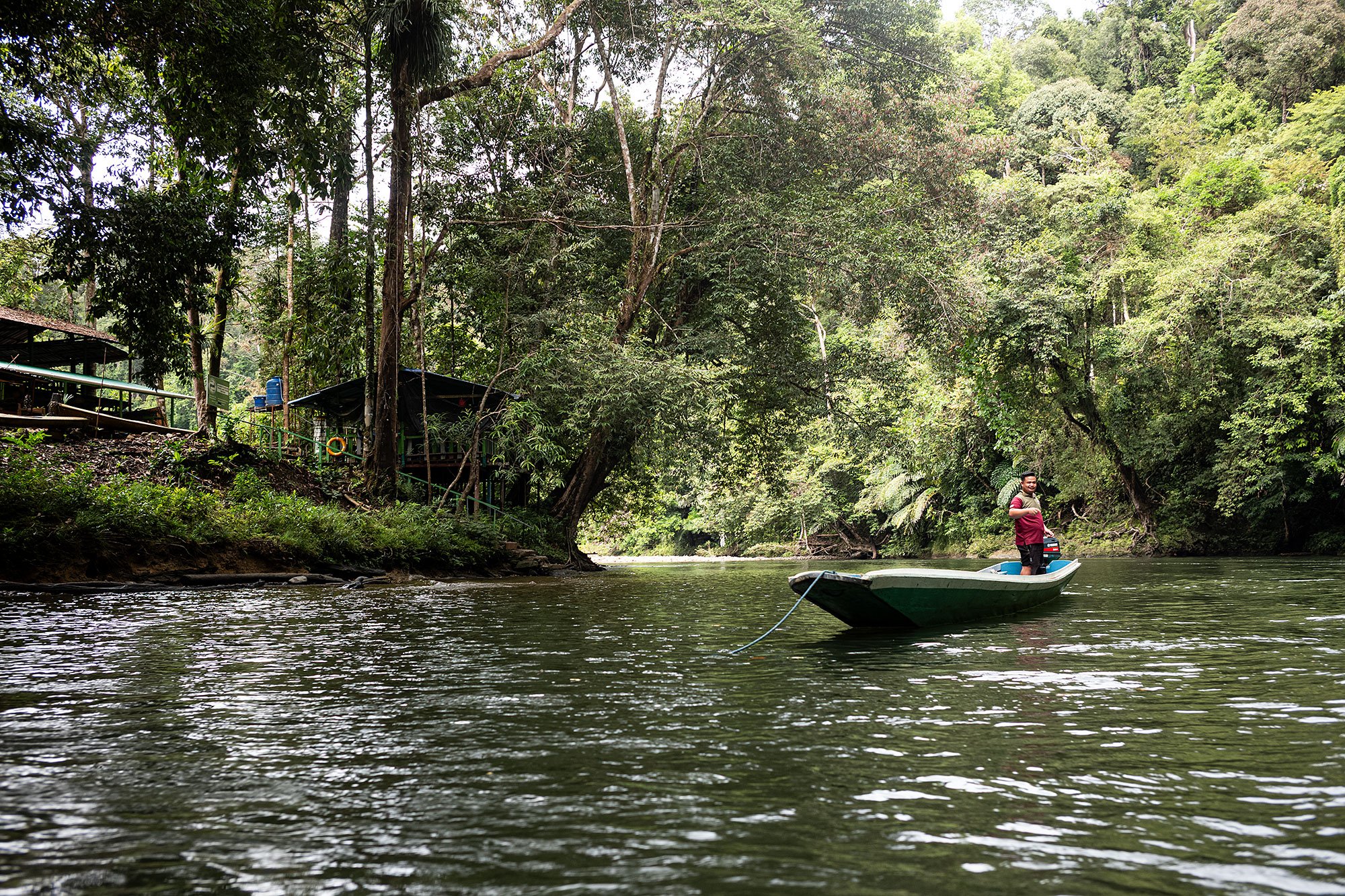 Ulu Temburong National Park, Brunei.