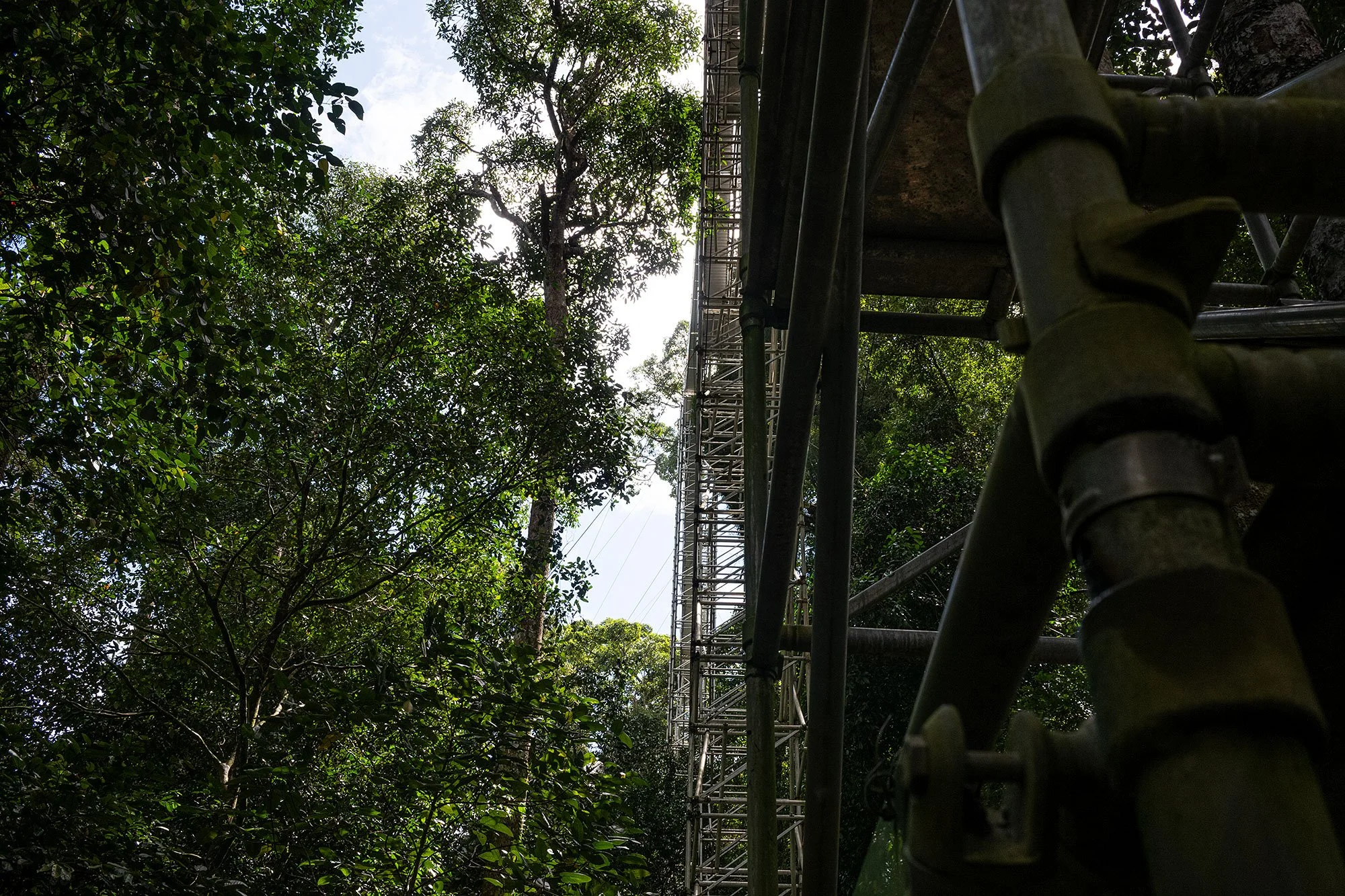 Ulu Temburong National Park, Brunei.
