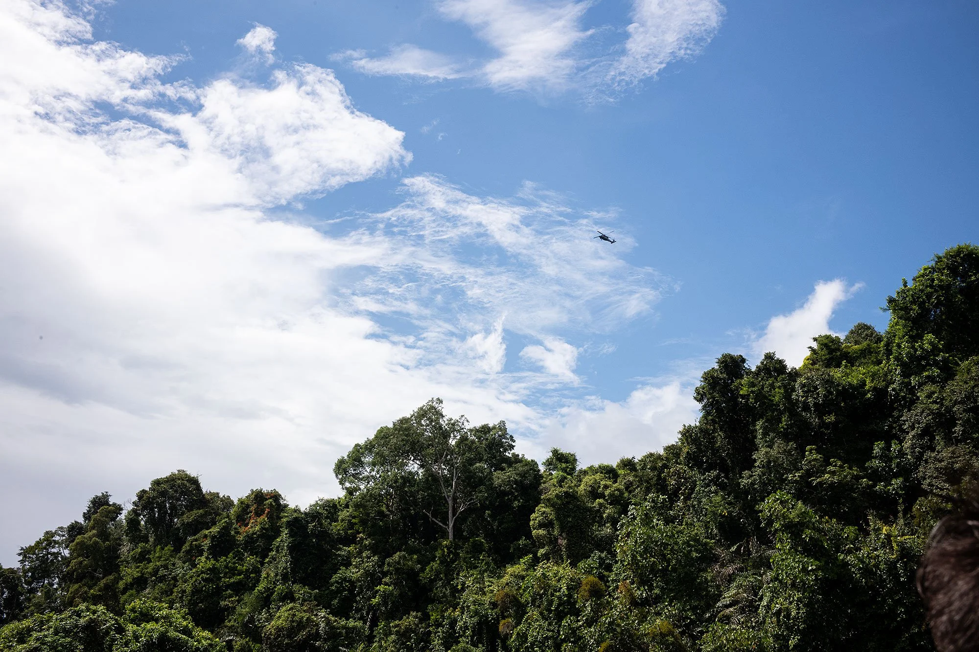 Ulu Temburong National Park, Brunei.