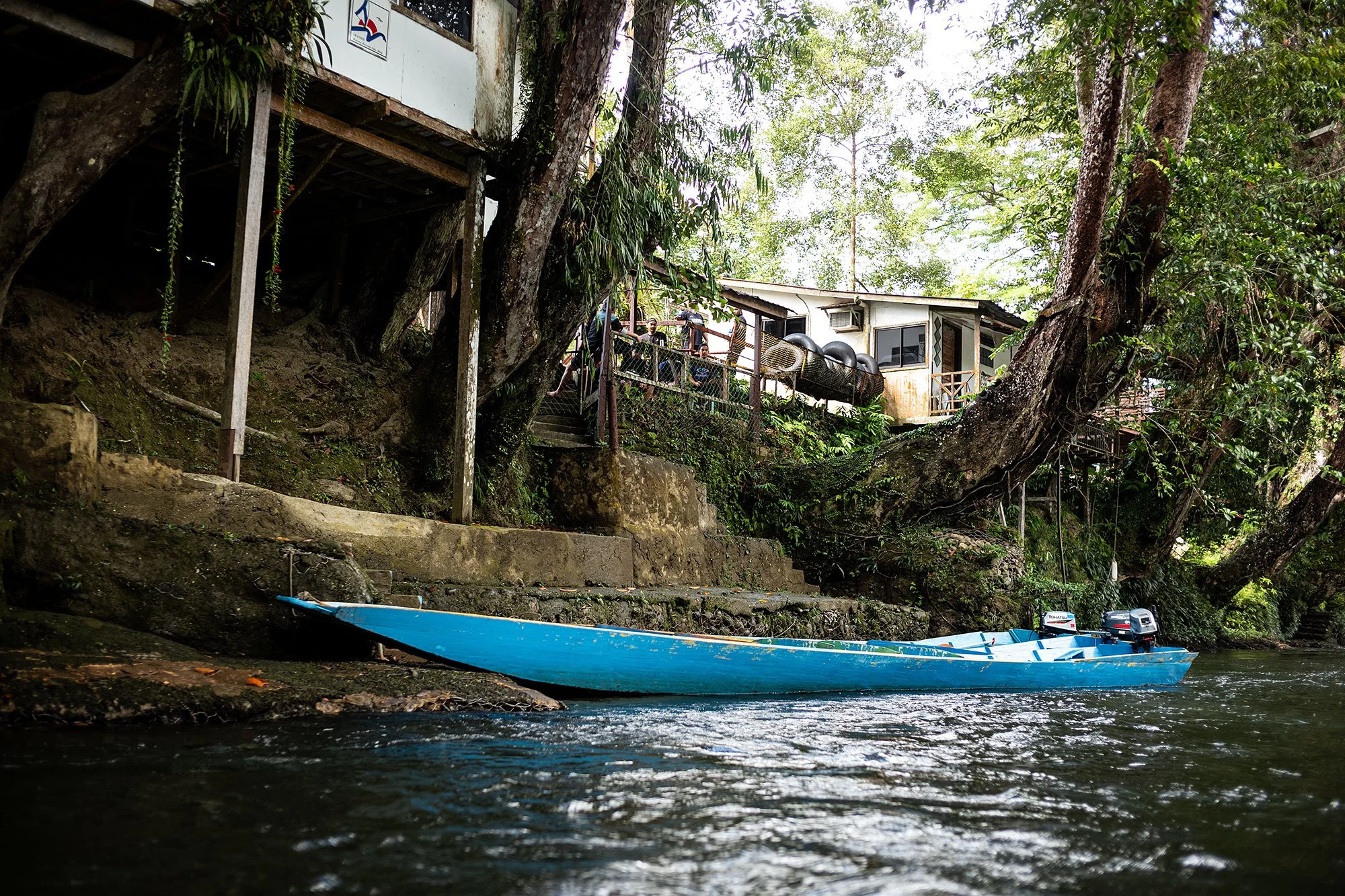 Ulu Temburong National Park, Brunei.