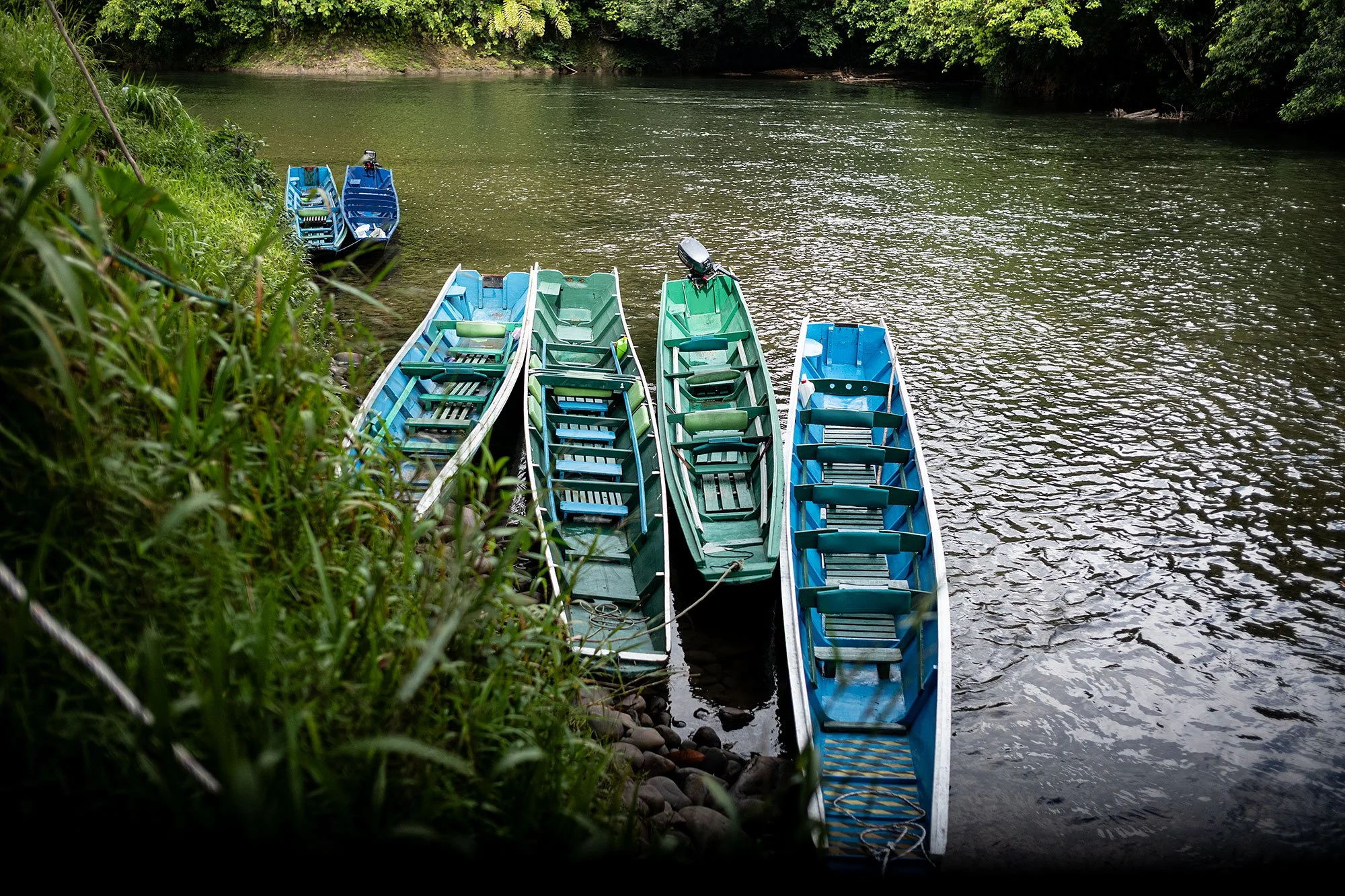 Ulu Temburong National Park, Brunei.