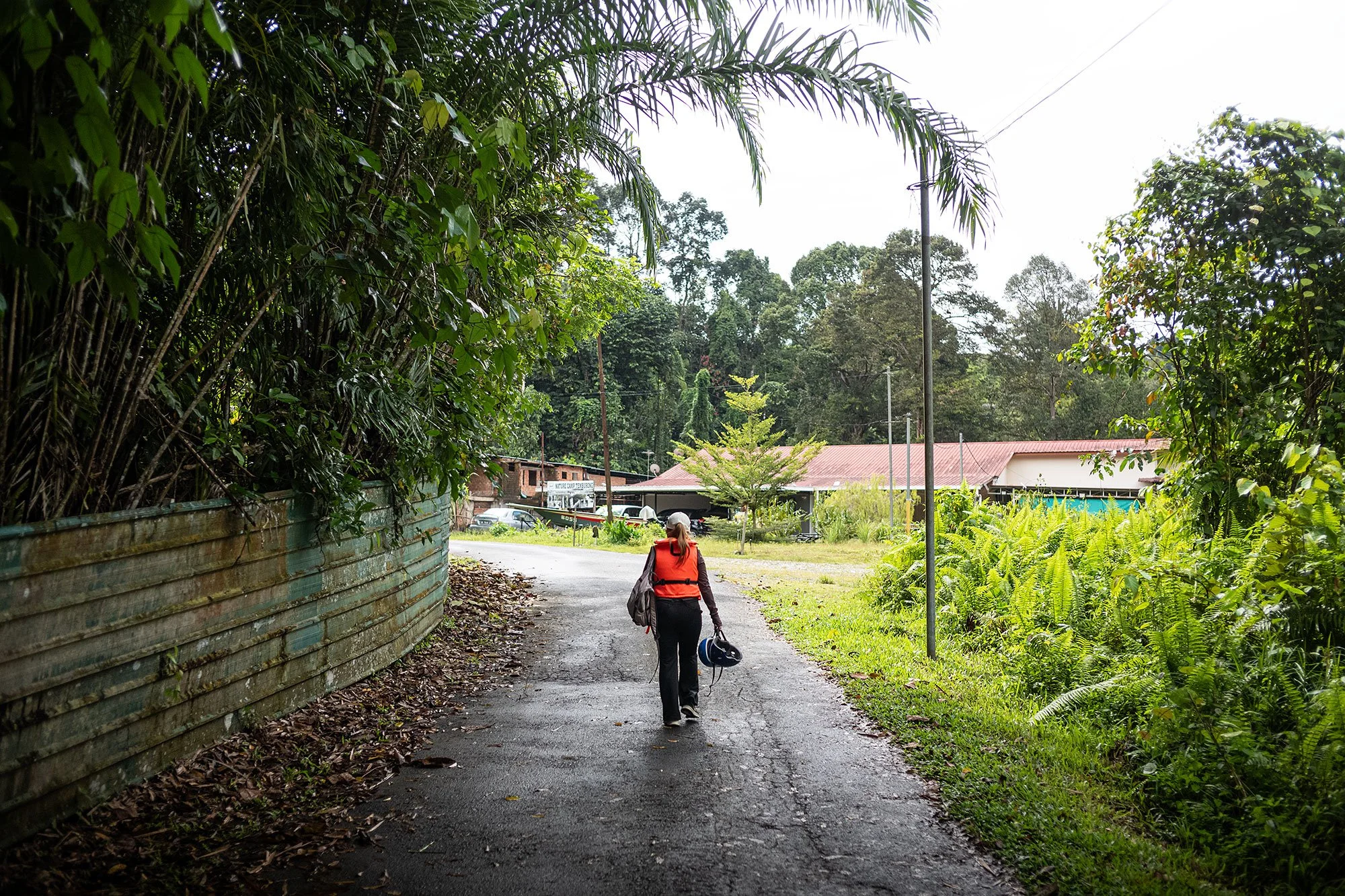 Ulu Temburong National Park, Brunei.