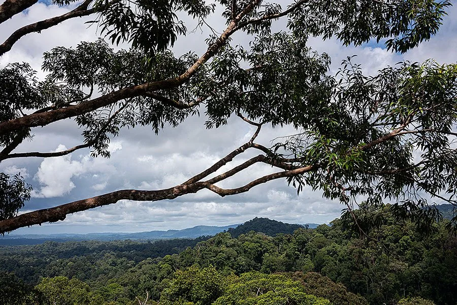 A trip to Ulu Temburong, Brunei’s only National Park.