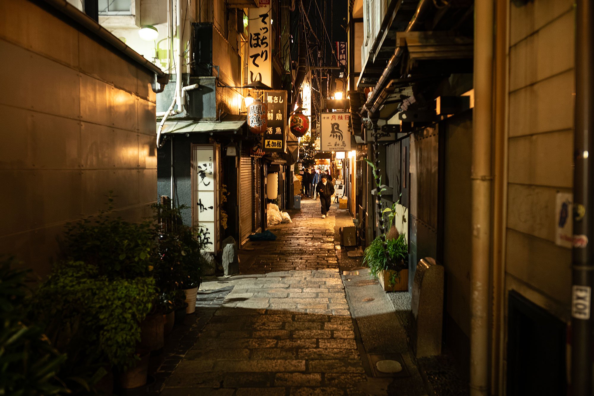 Dotonbori at night, Osaka, Japan.