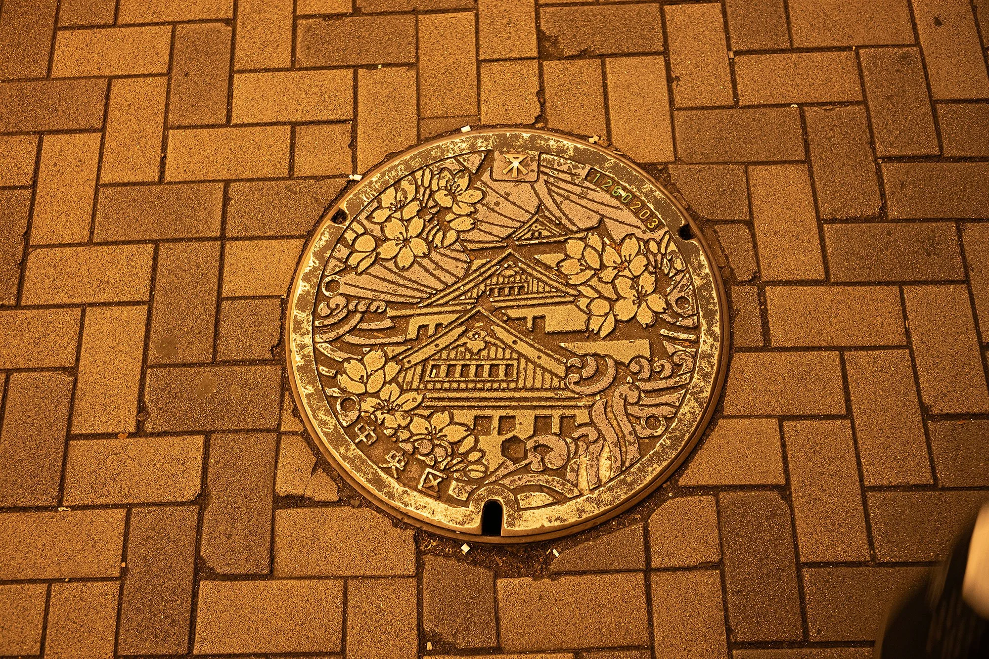 Dotonbori at night, Osaka, Japan.