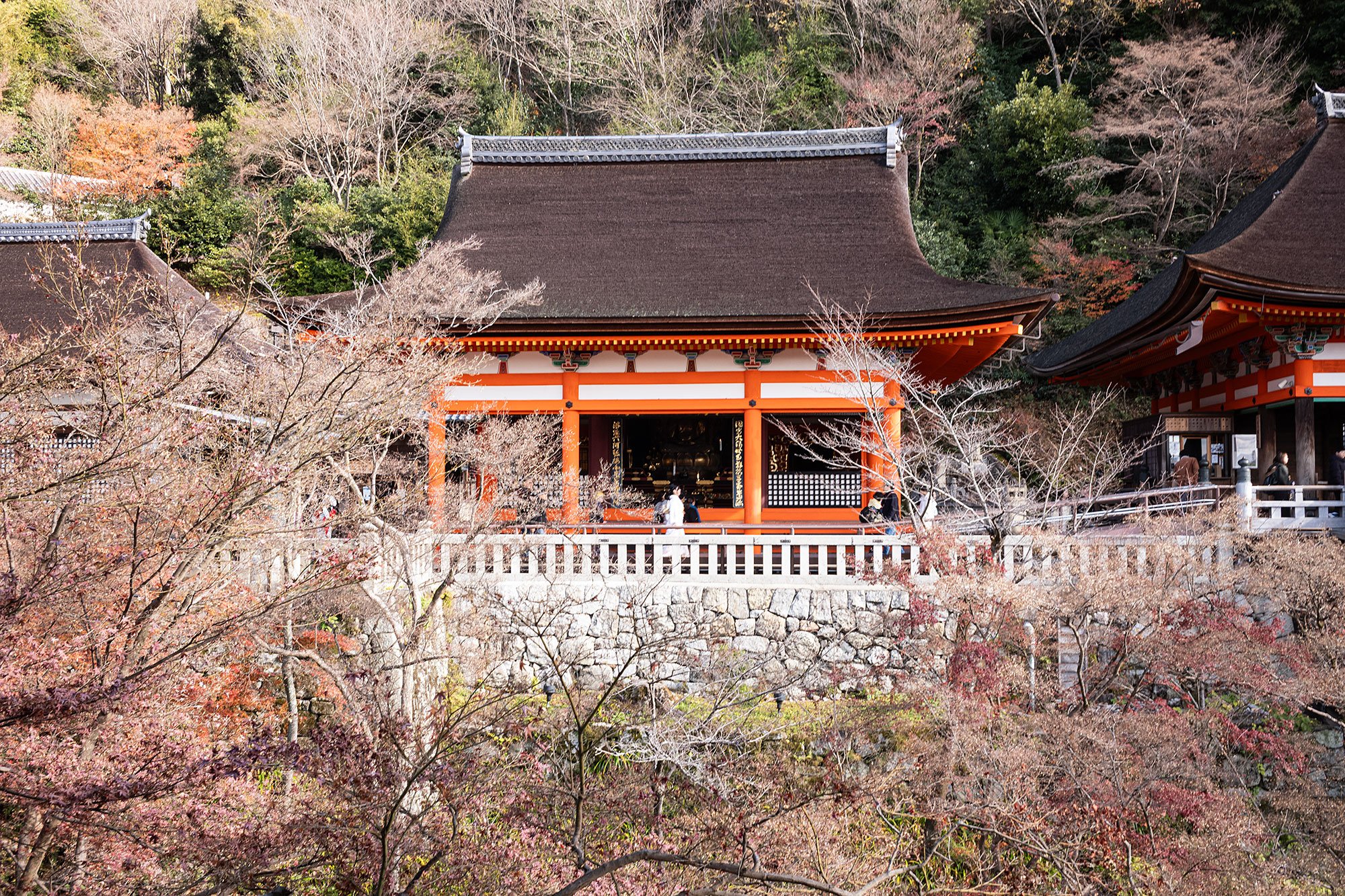 Kiyomizu-dera. Kyoto, Japan.