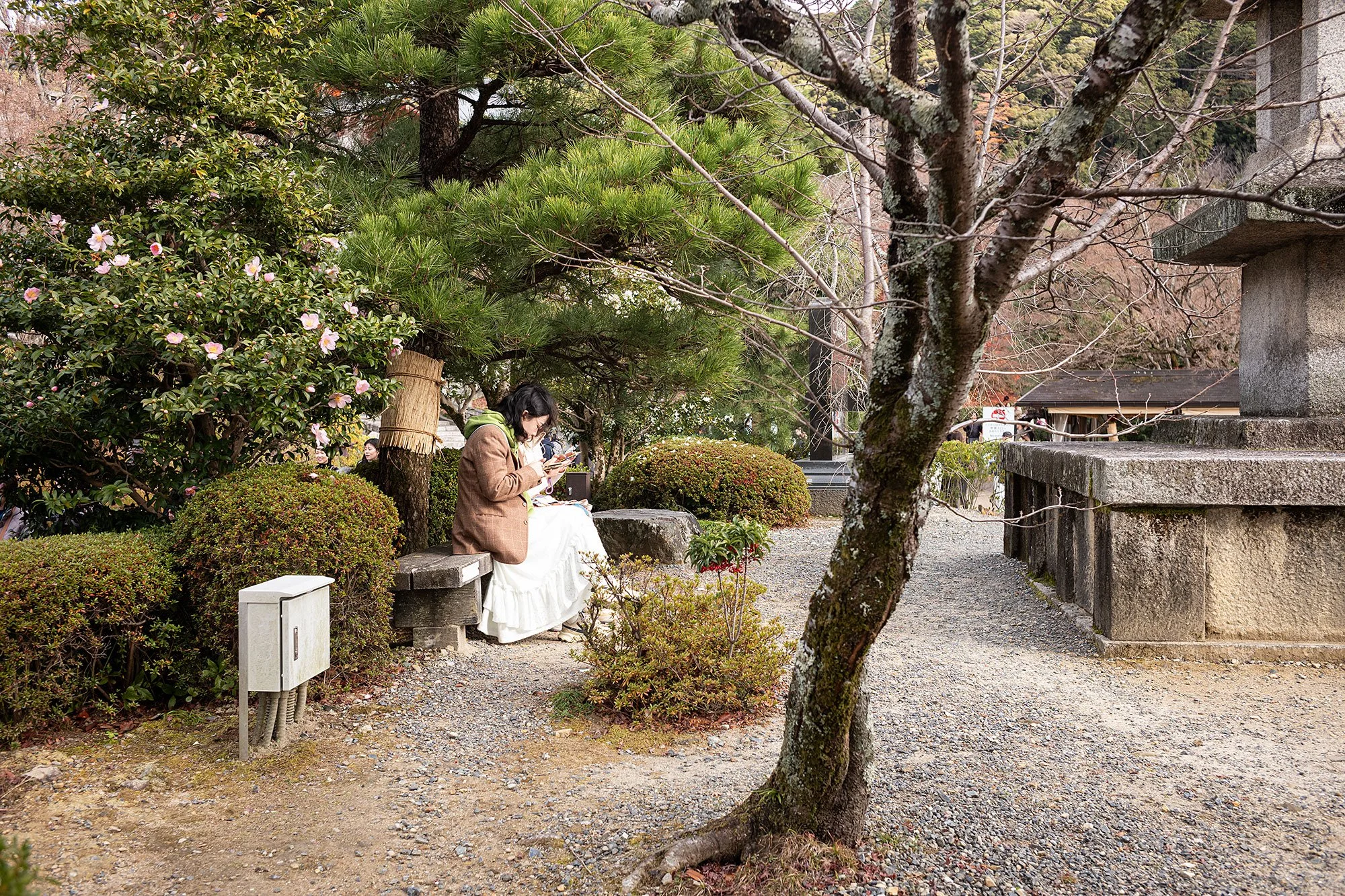 Kiyomizu-dera. Kyoto, Japan.