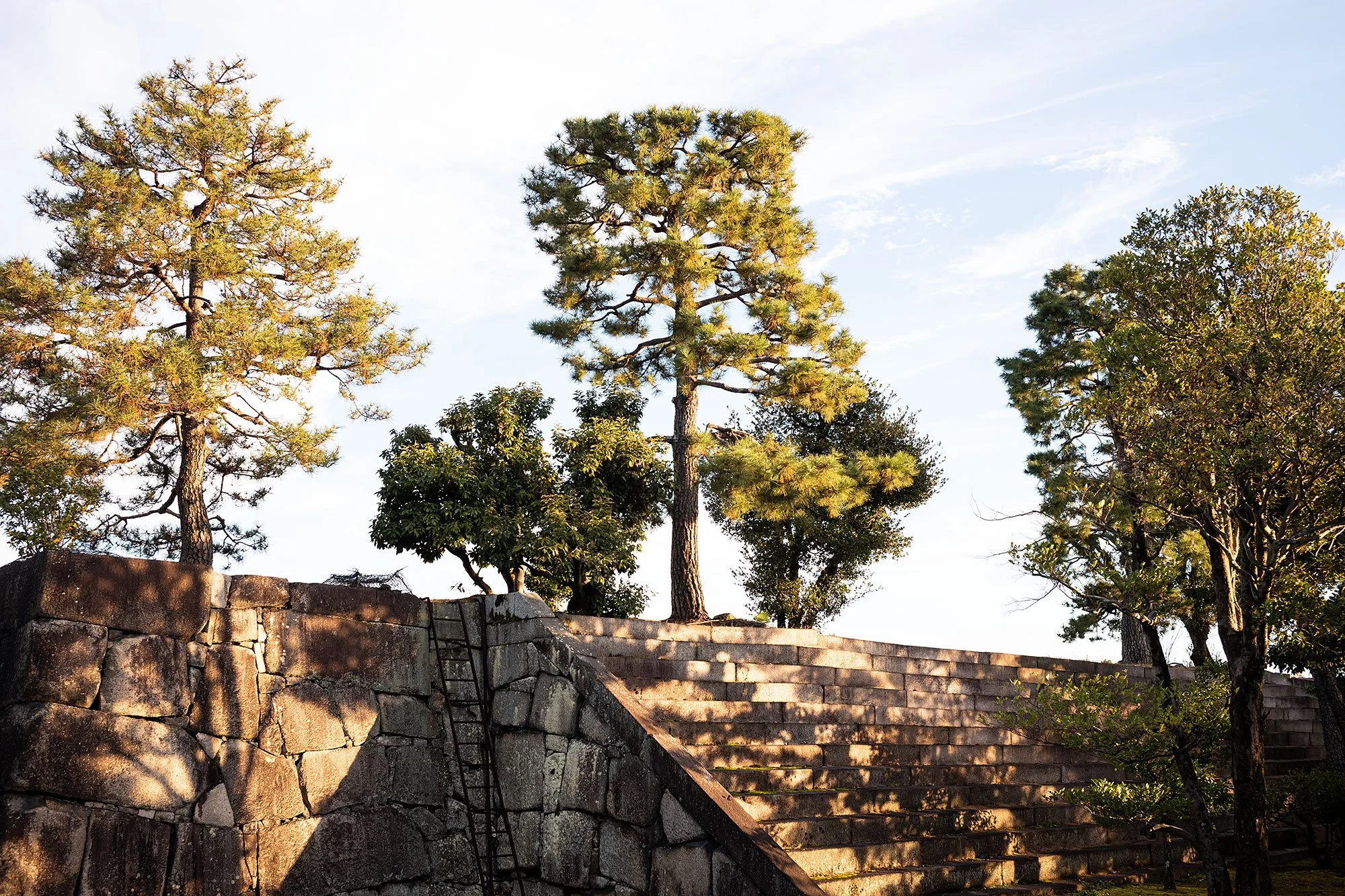 Nijo Castle in Kyoto, Japan