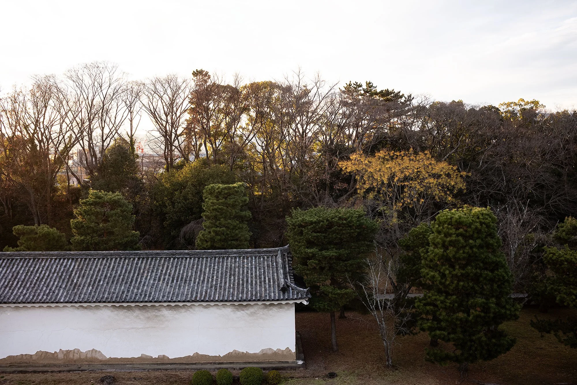 Nijo Castle in Kyoto, Japan