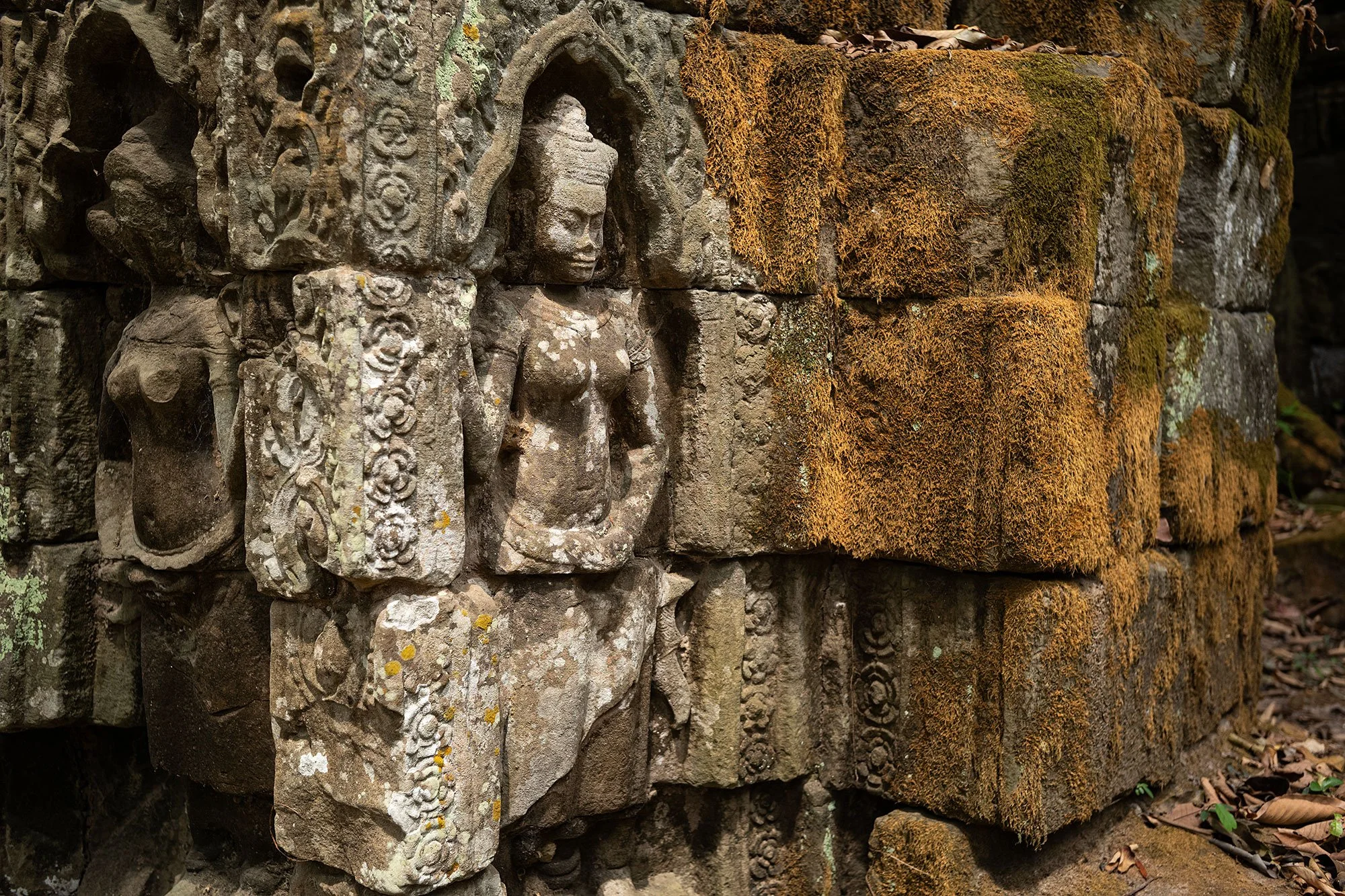 Ta Prohm. Angkor, Cambodia.