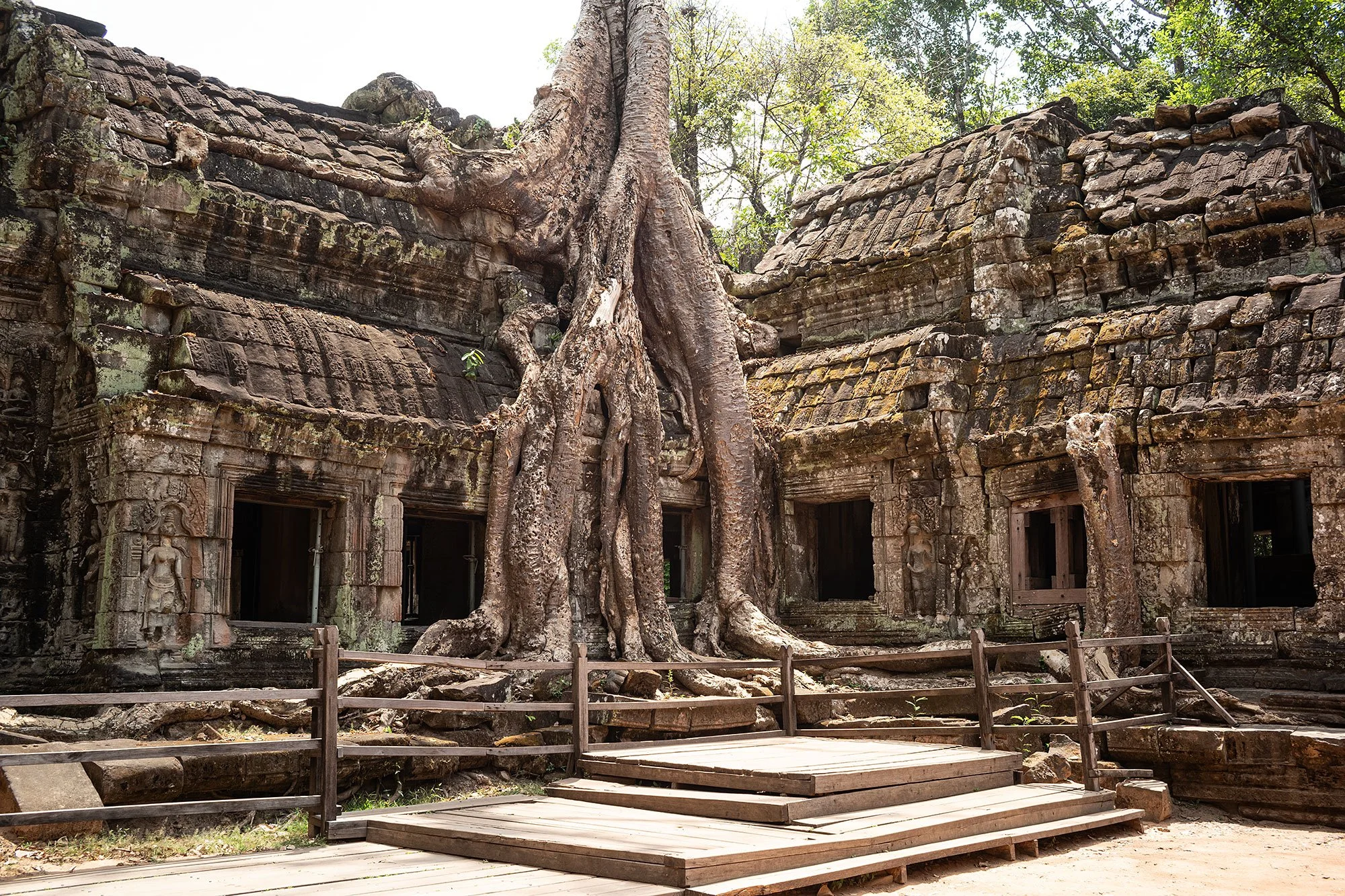 Ta Prohm. Angkor, Cambodia.