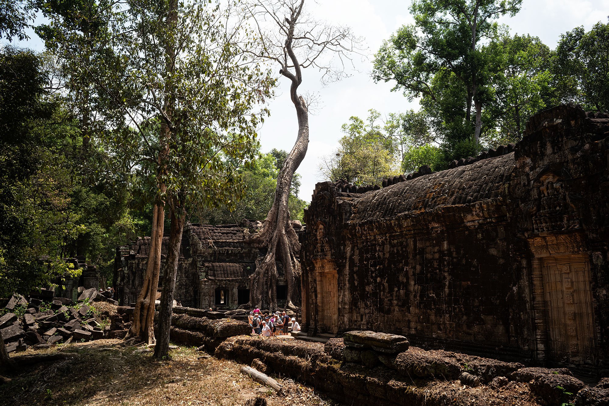 Ta Prohm. Angkor, Cambodia.