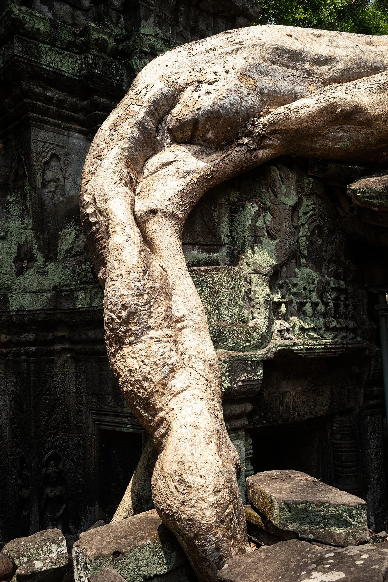 Ta Prohm. Angkor, Cambodia.