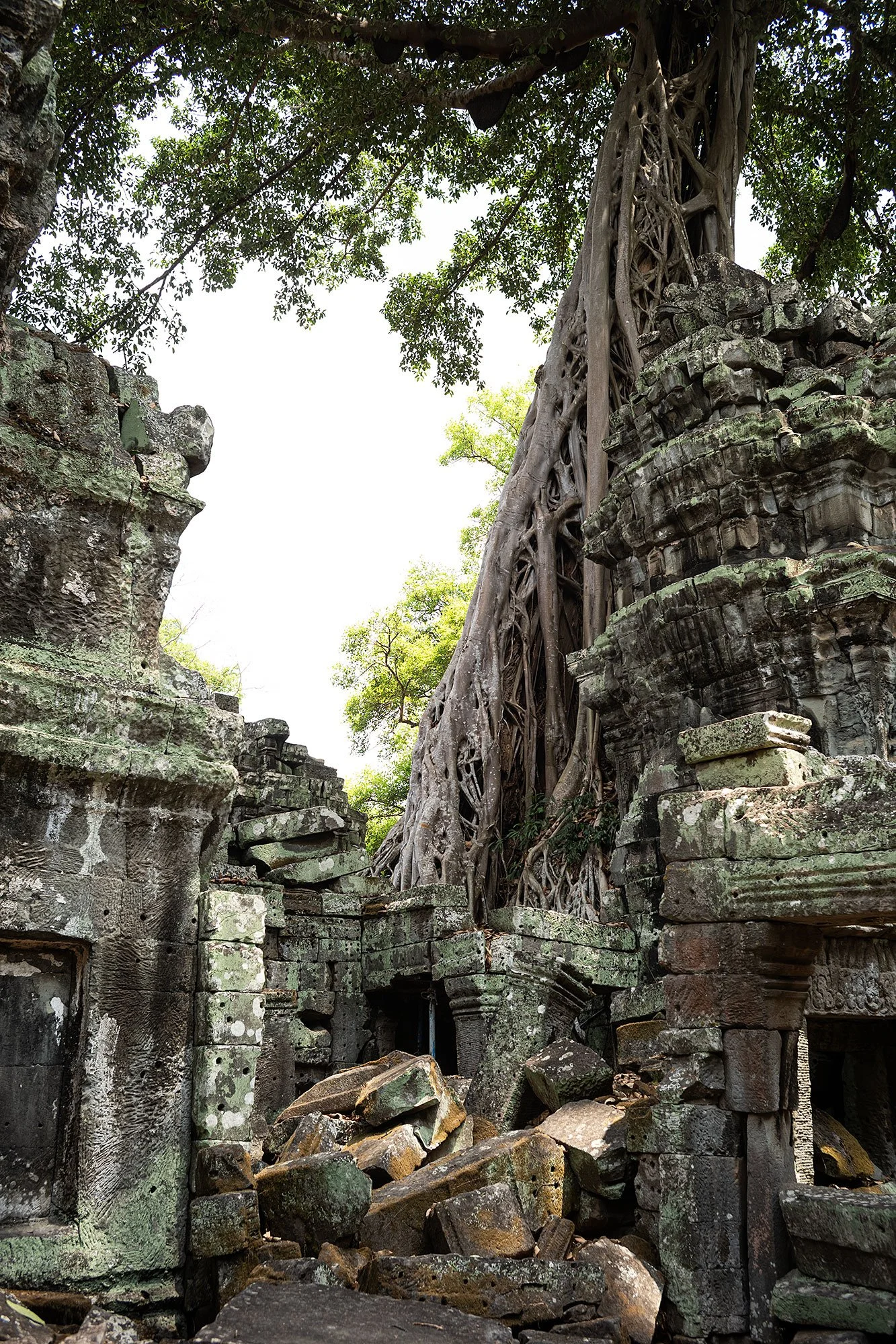 Ta Prohm. Angkor, Cambodia.