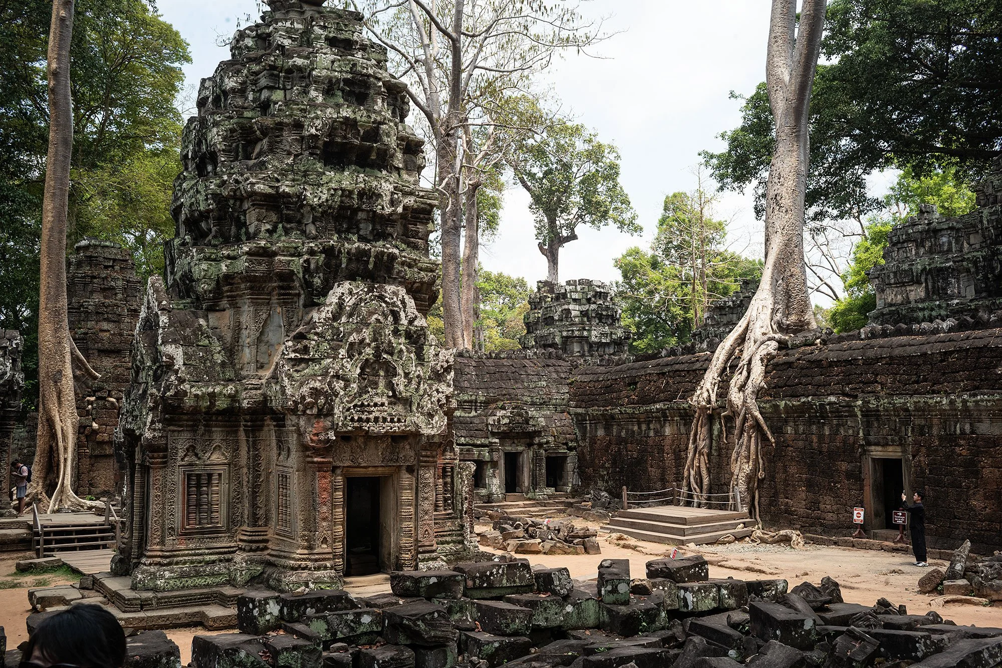 Ta Prohm, Angkor, Cambodia.