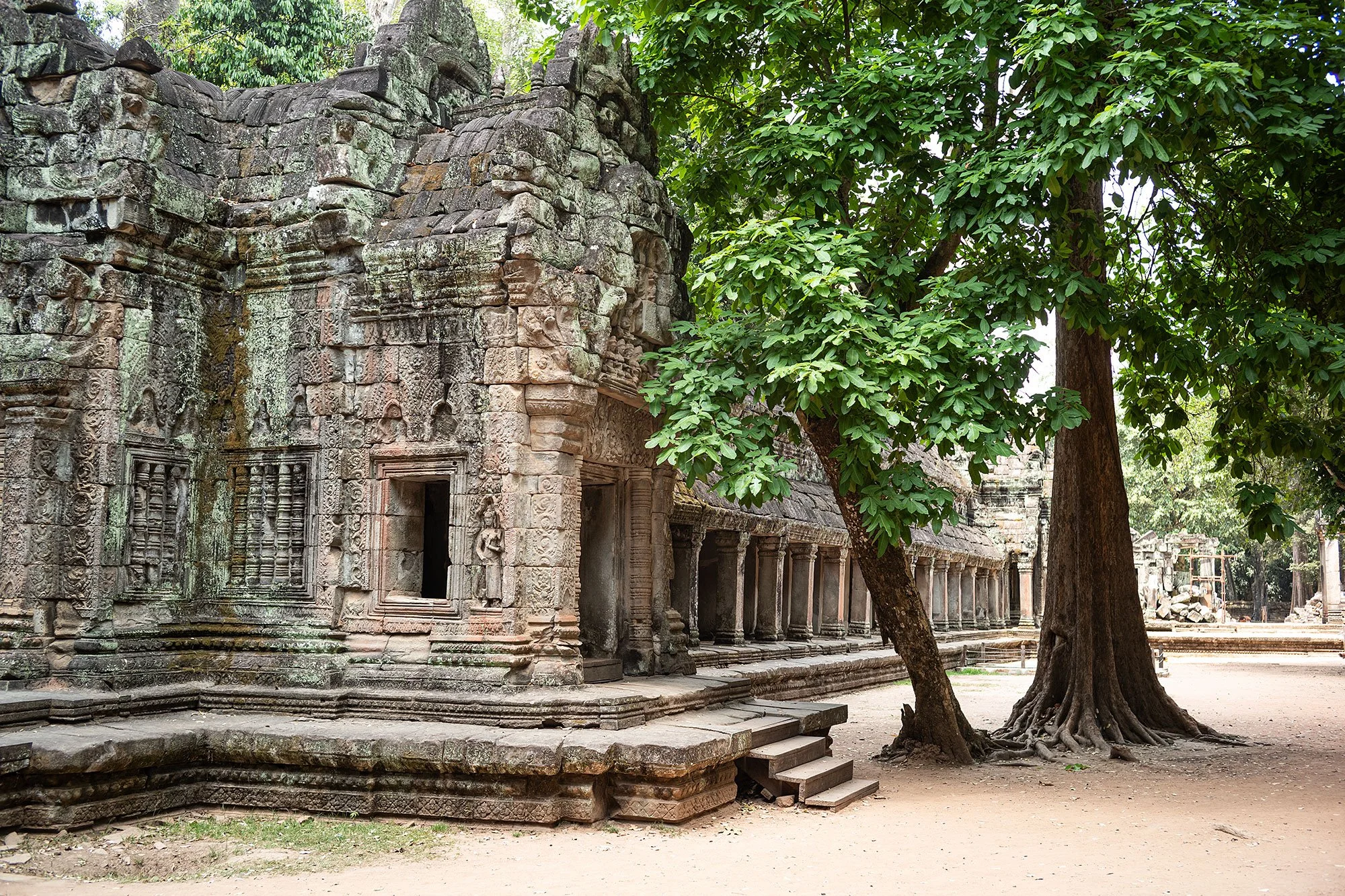 Ta Prohm, Angkor, Cambodia.