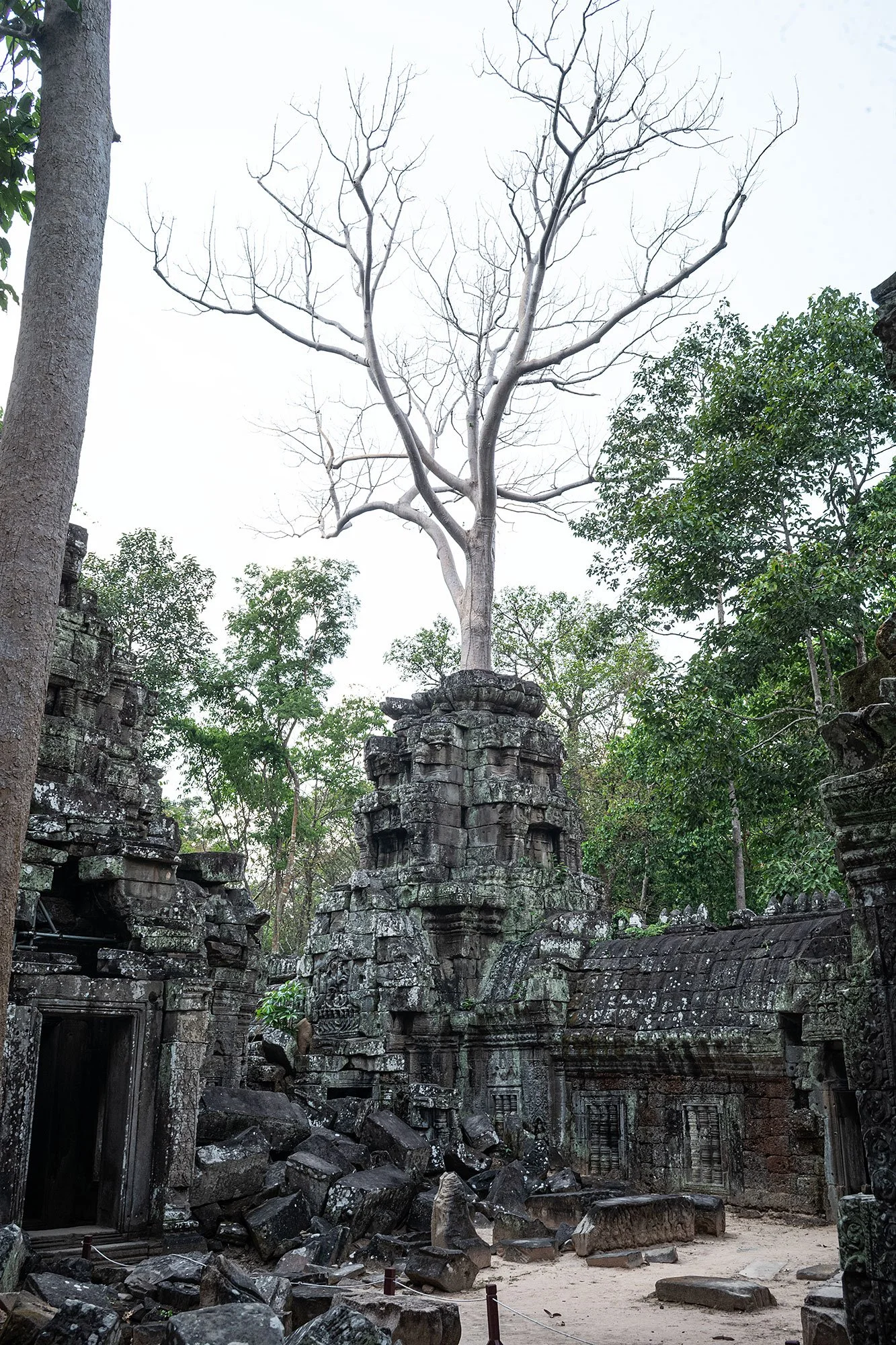 Ta Nei. Angkor, Cambodia.