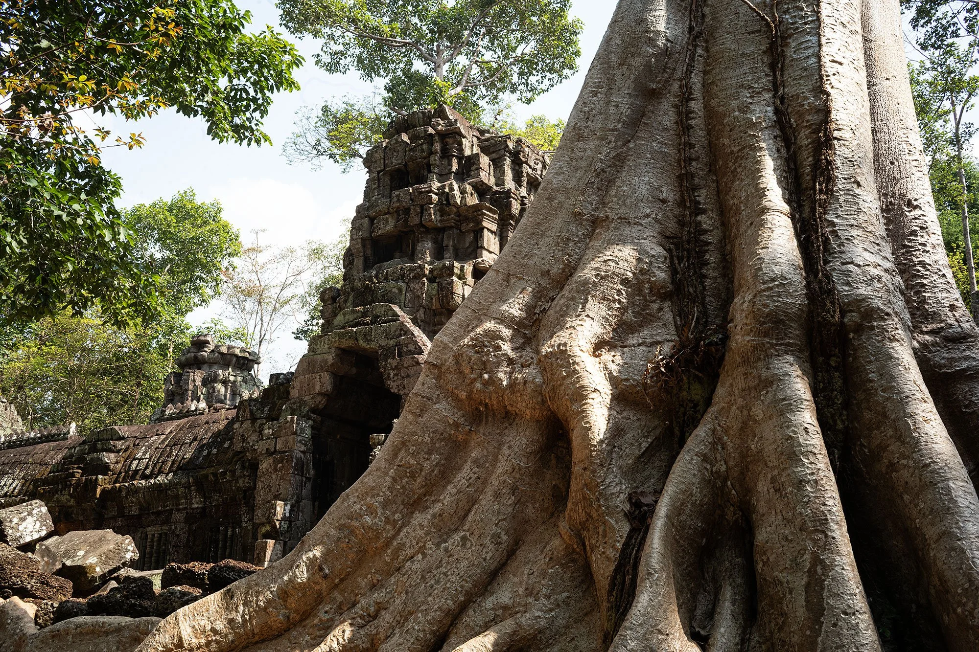 Ta Nei. Angkor, Cambodia.