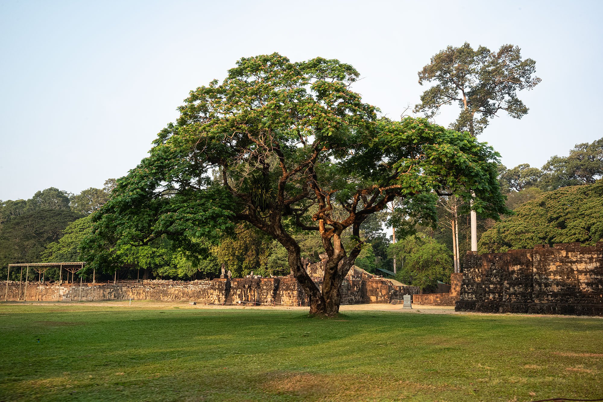 Royal Square. Angkor, Cambodia