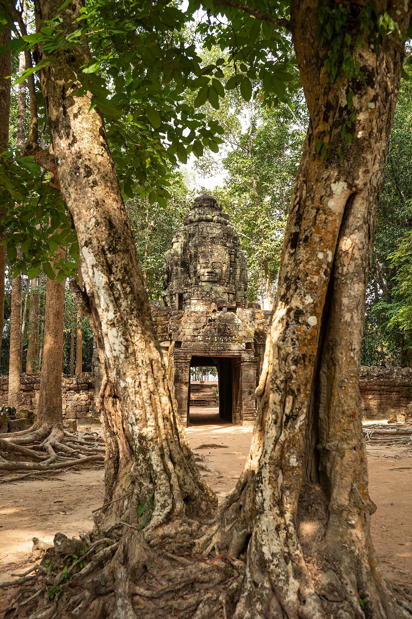 Ta Som. Angkor, Cambodia.