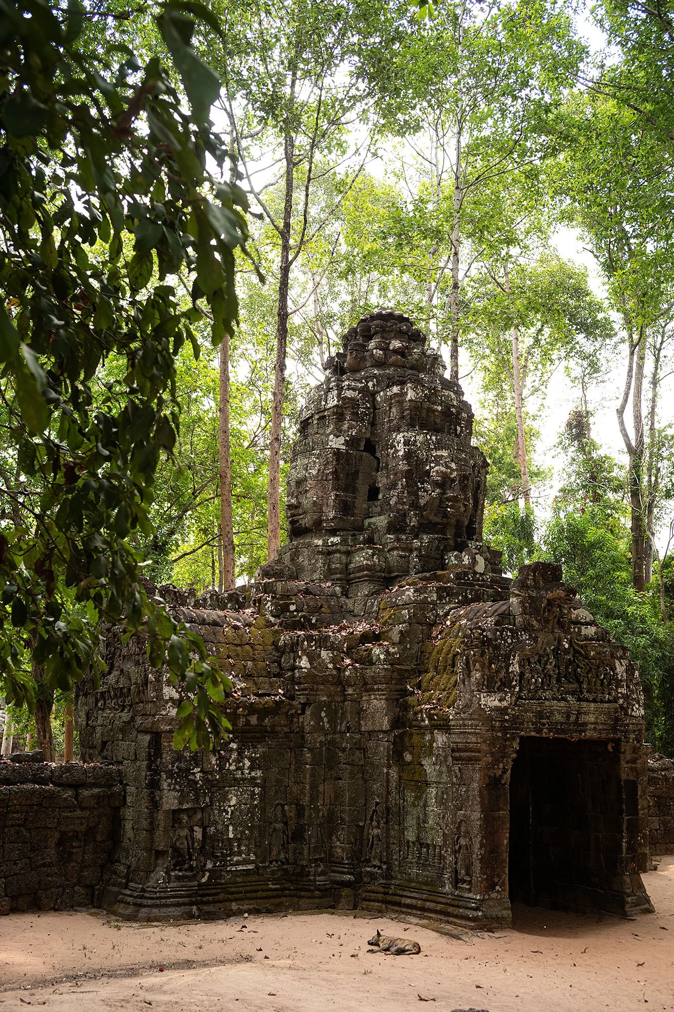 Ta Som. Angkor, Cambodia.